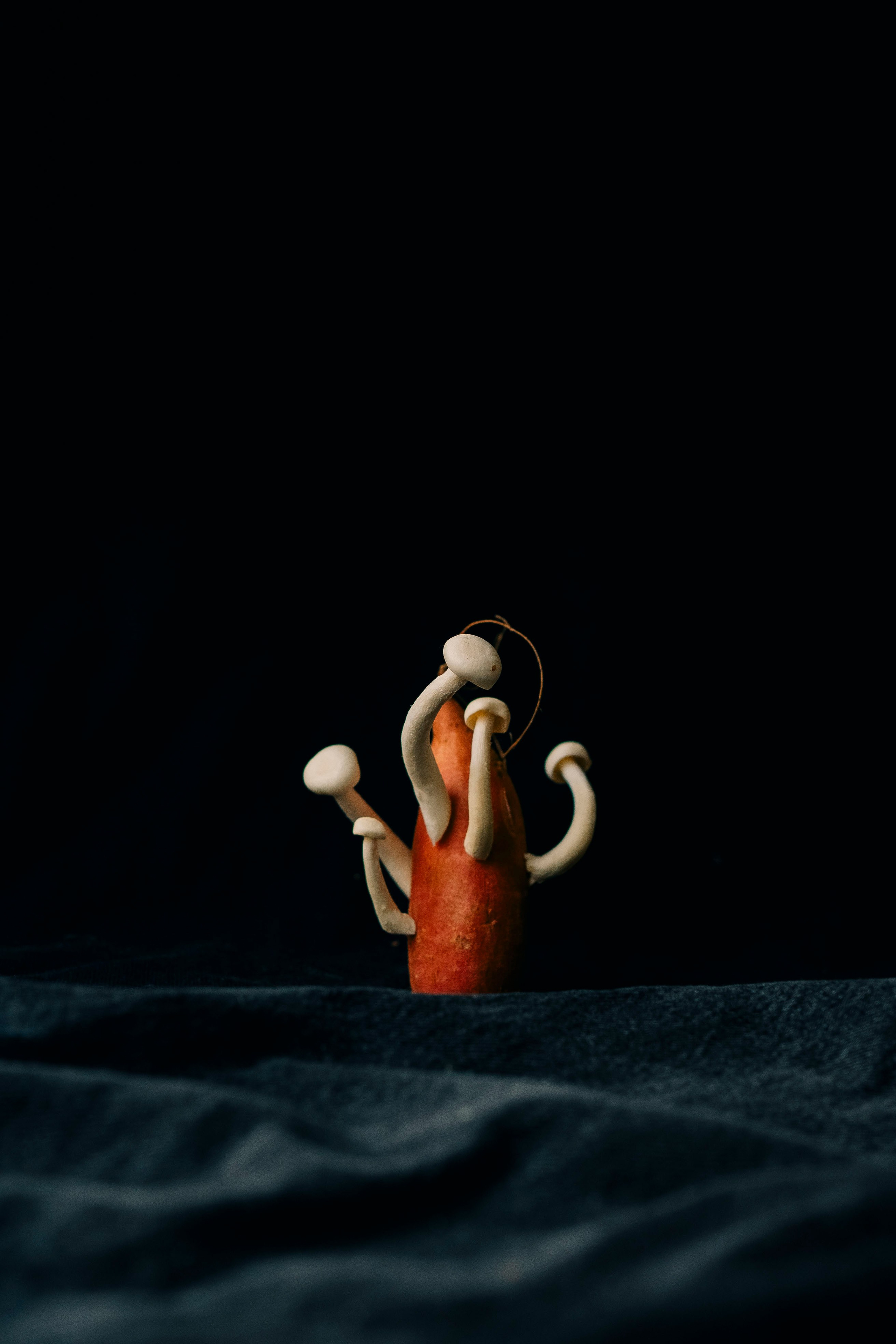 Arranjo surreal do vegetal da raiz e do cogumelo. Composição surreal dos cogumelos que crescem de um vegetal da raiz contra um fundo escuro.