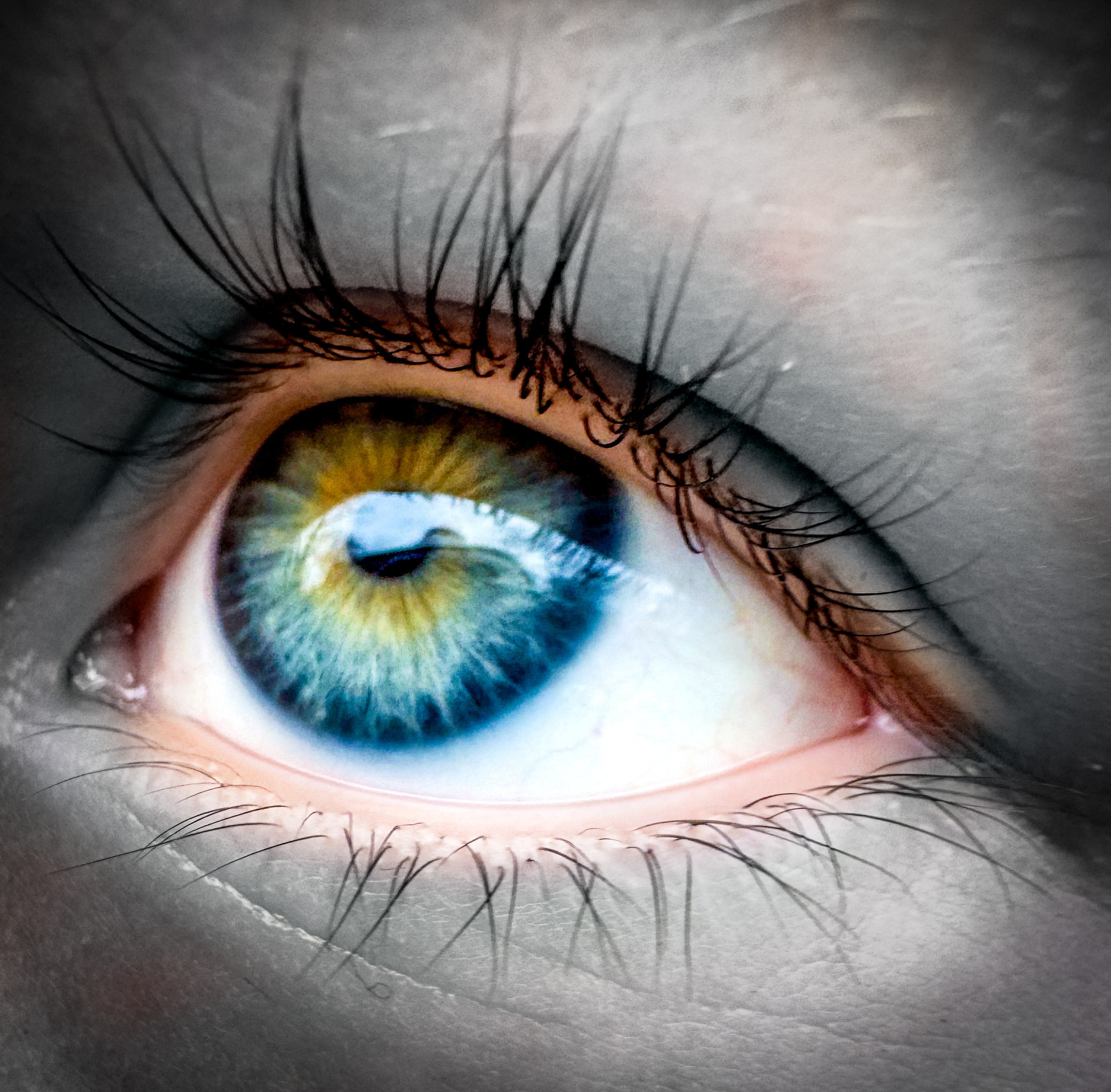 Ästhetik. Fotografin Kati Rebling