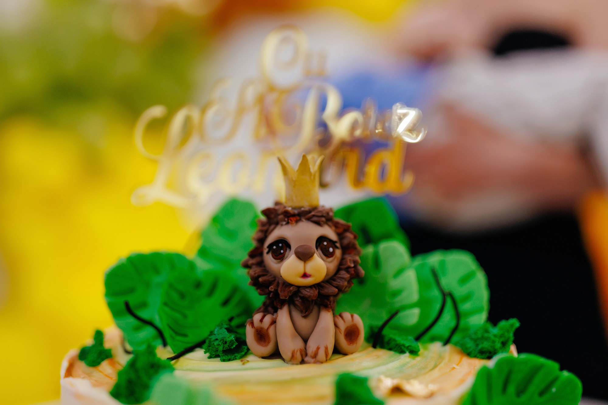 Leonard. Fotograf și videograf de nuntă R. Moldova, Romania