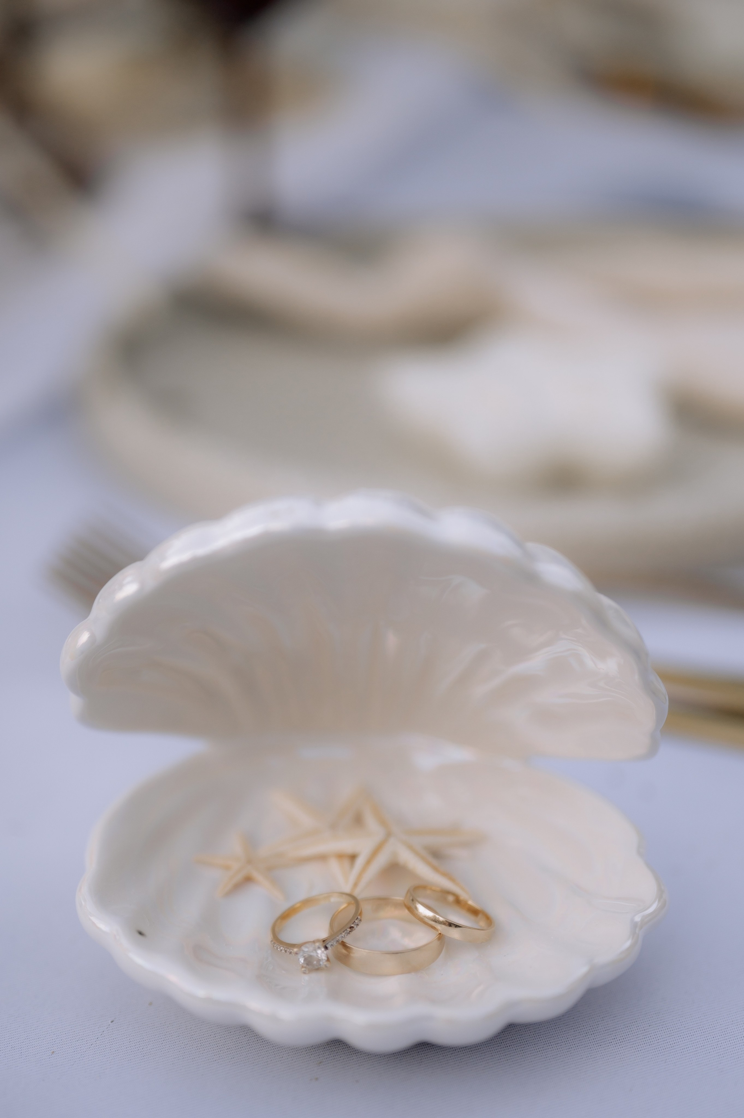 Servicii foto video profesionale de nunta, la cel mai bun pret. Proud Vision Weddings | Wedding Photography & Film — Servicii profesionale Foto Video Nunta Iasi