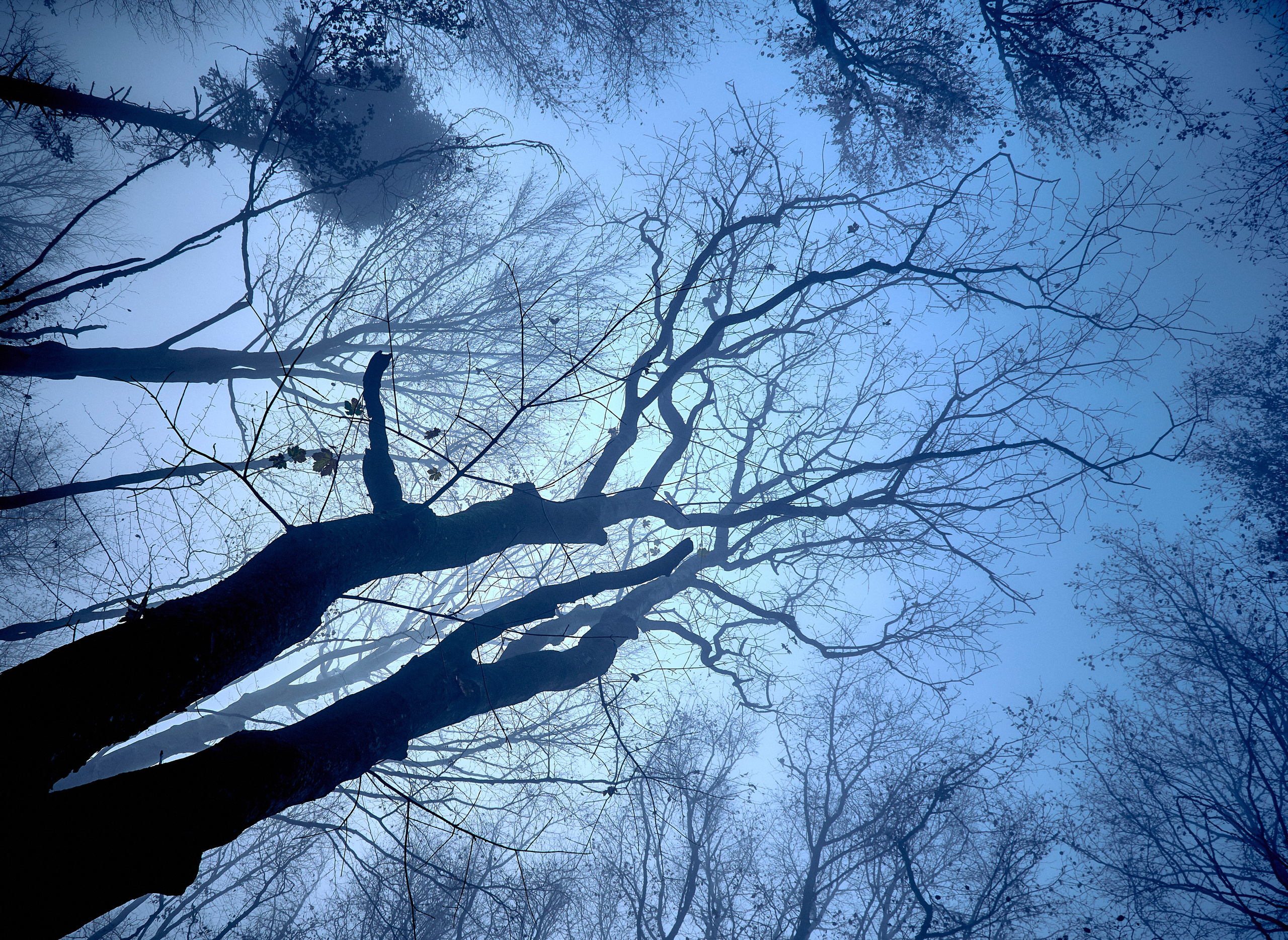 Bieszczady - tu zatrzymuje się czas. Andriej Szypilow - Fotografia & Wideografia