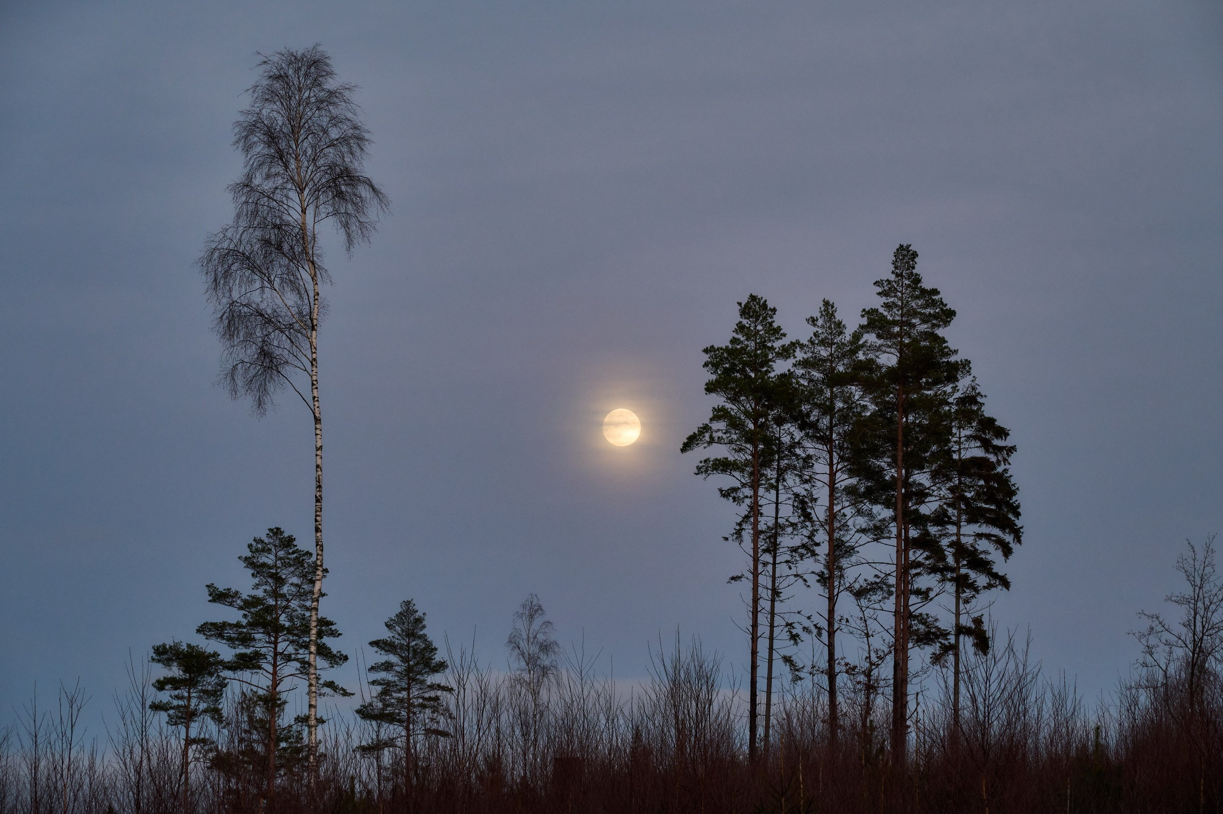 Landscapes by Yury Popkov. Yuri Popkov | Photographer