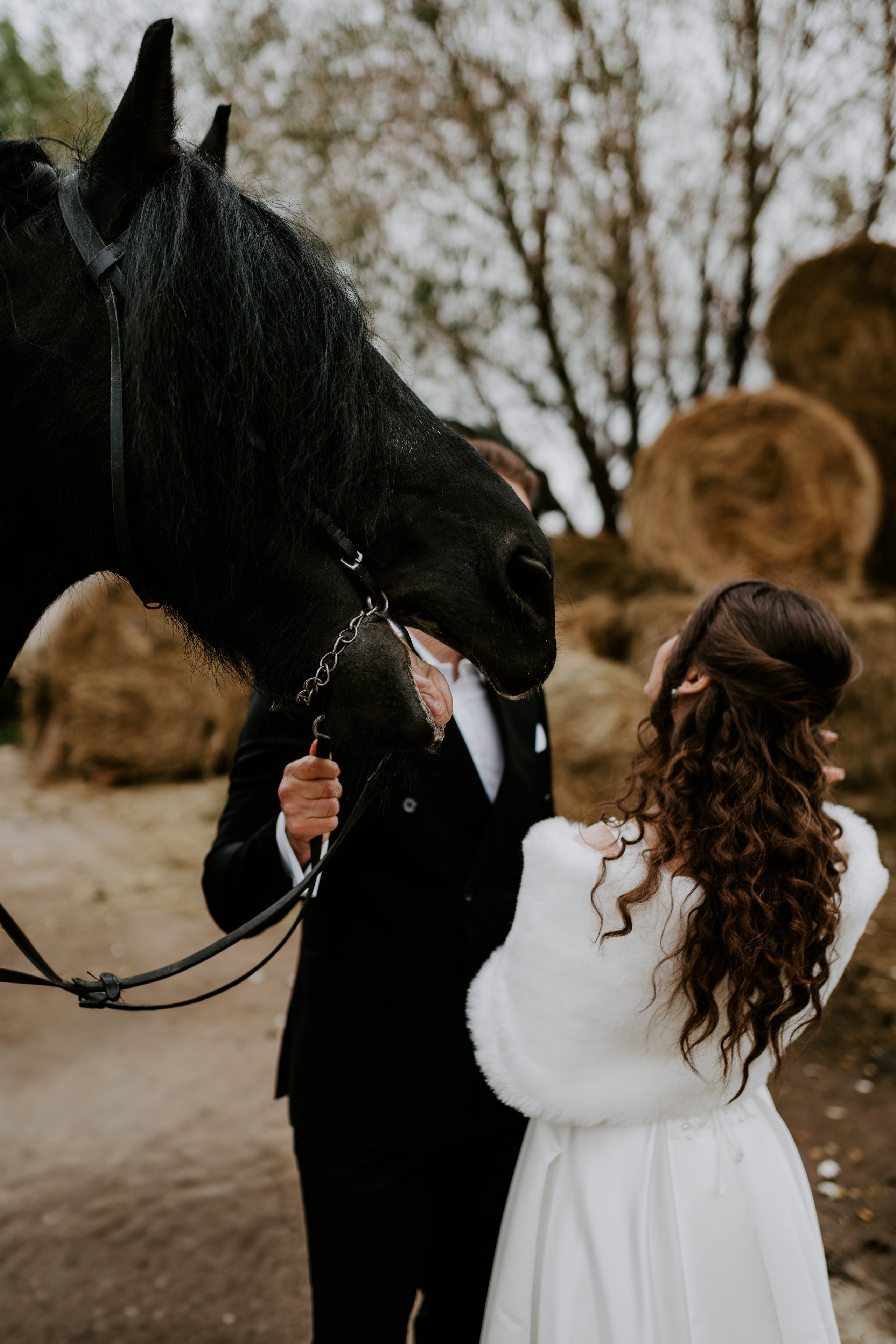 TTD — Ioana&Stefan. Catalin Brinza