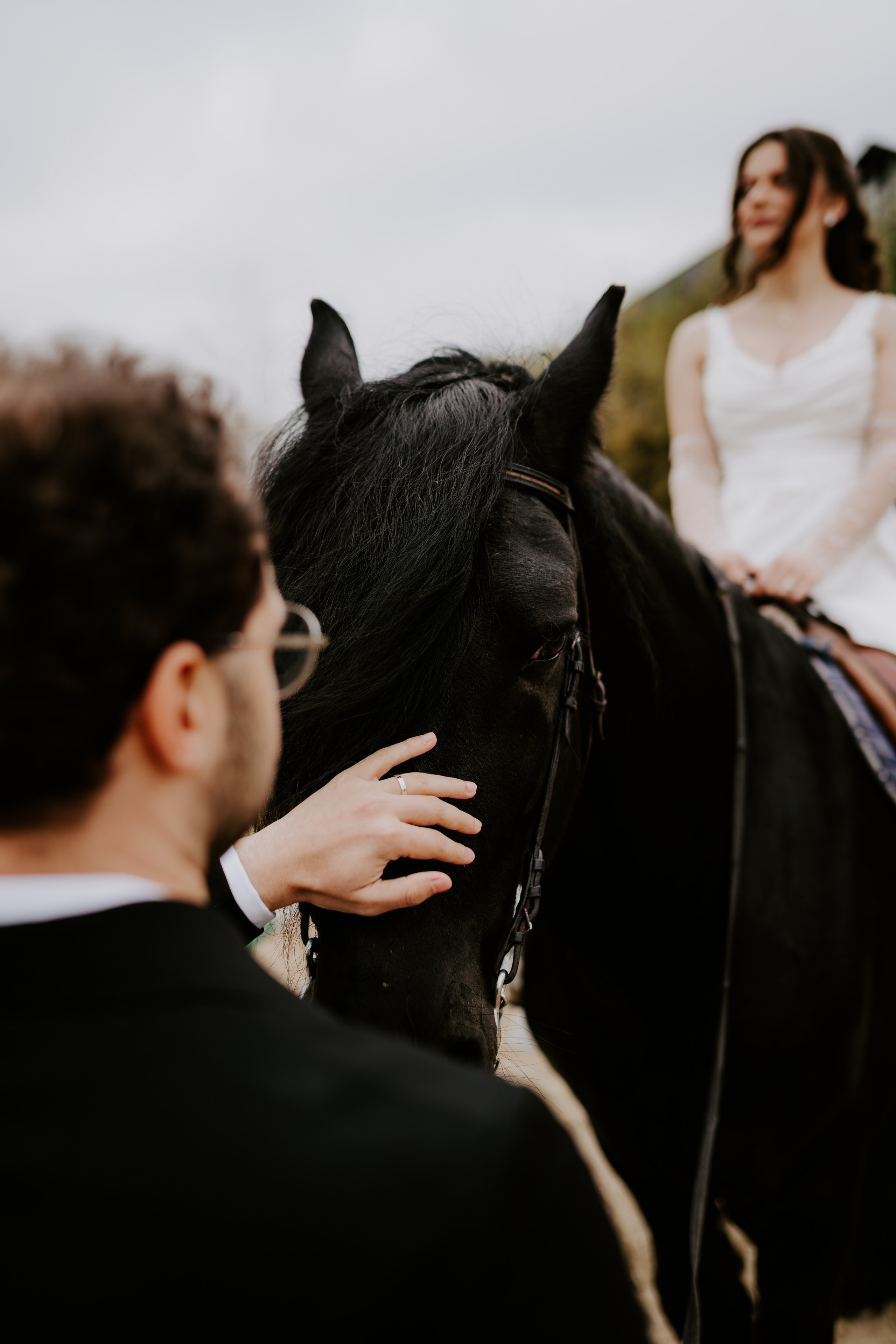 TTD — Ioana&Stefan. Catalin Brinza