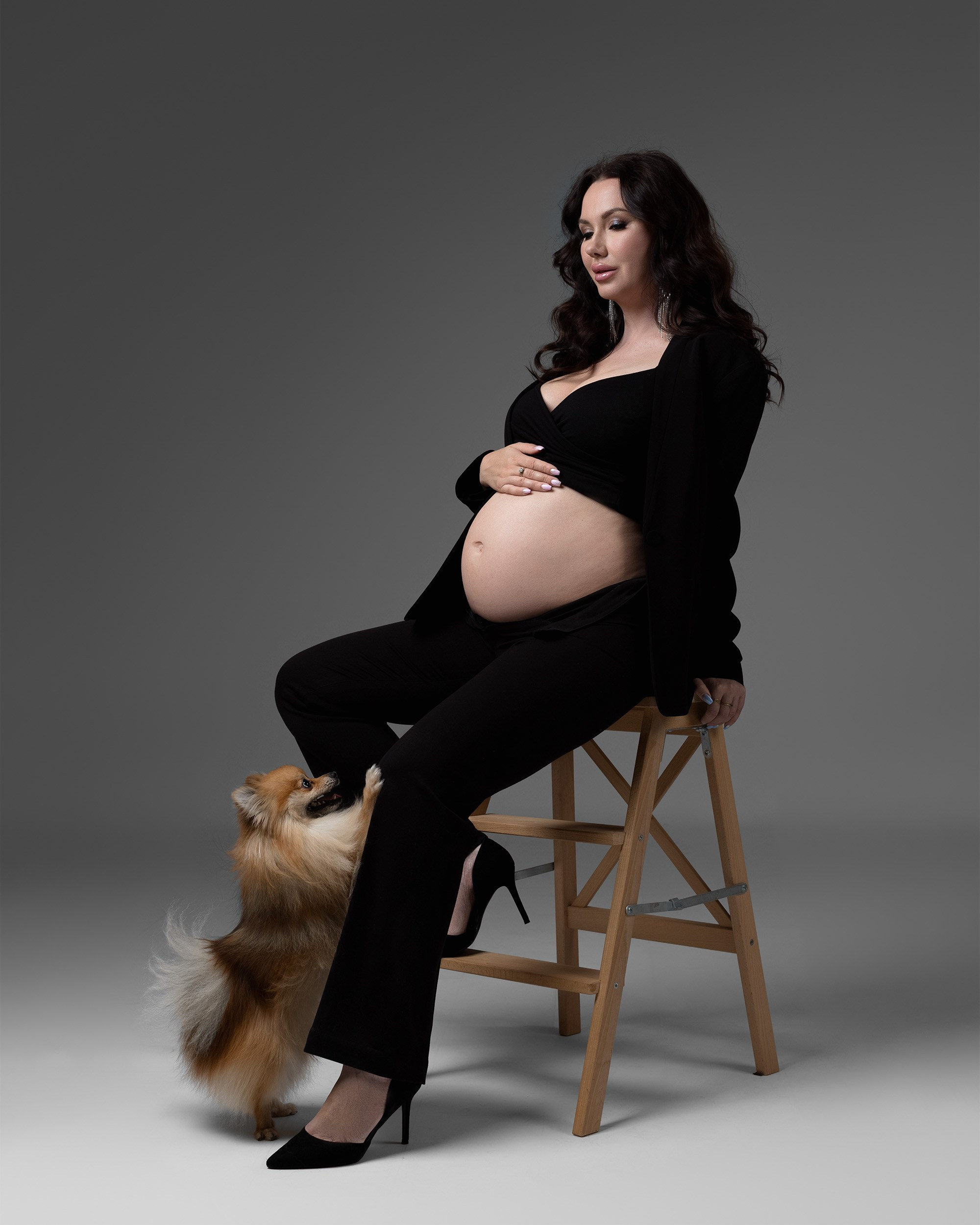 Embarazo y Maternidad sesiones de fotografía  con mascotas , sesiones de Embarazo en estudio 