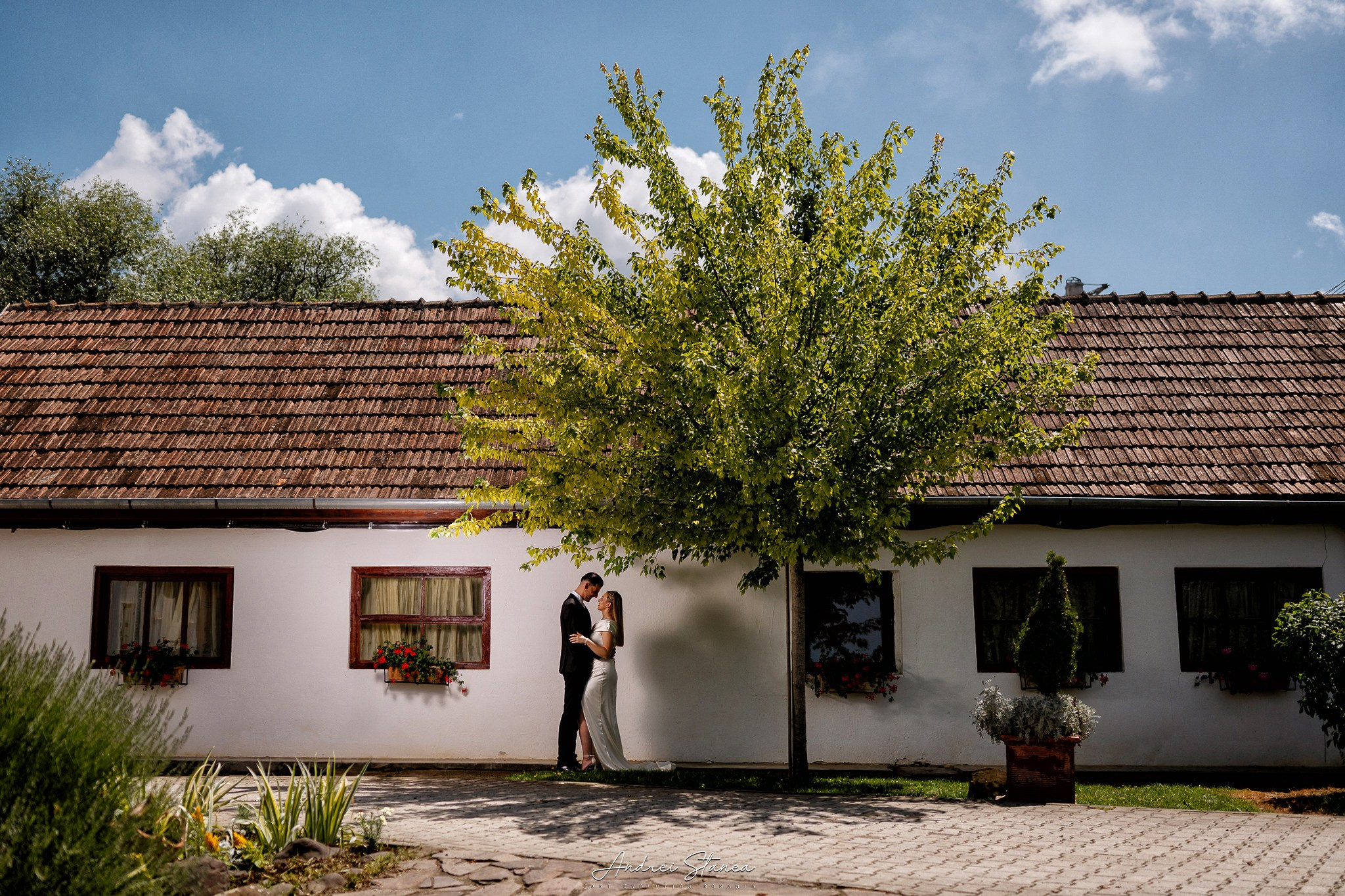 Portofolio. Andrei Stanea