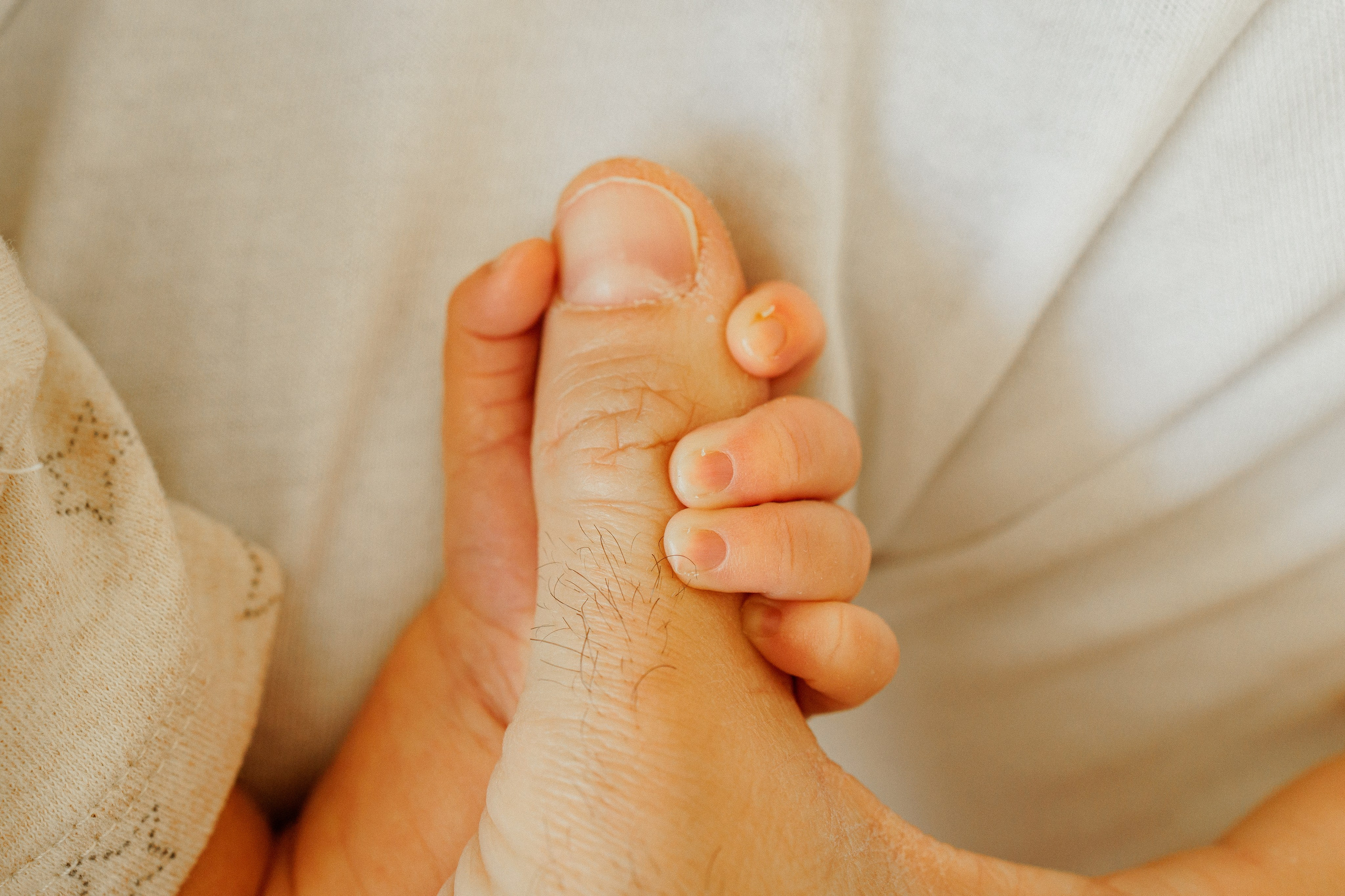 NEWBORN LIFESTILE. Professional garden design and photography services in London