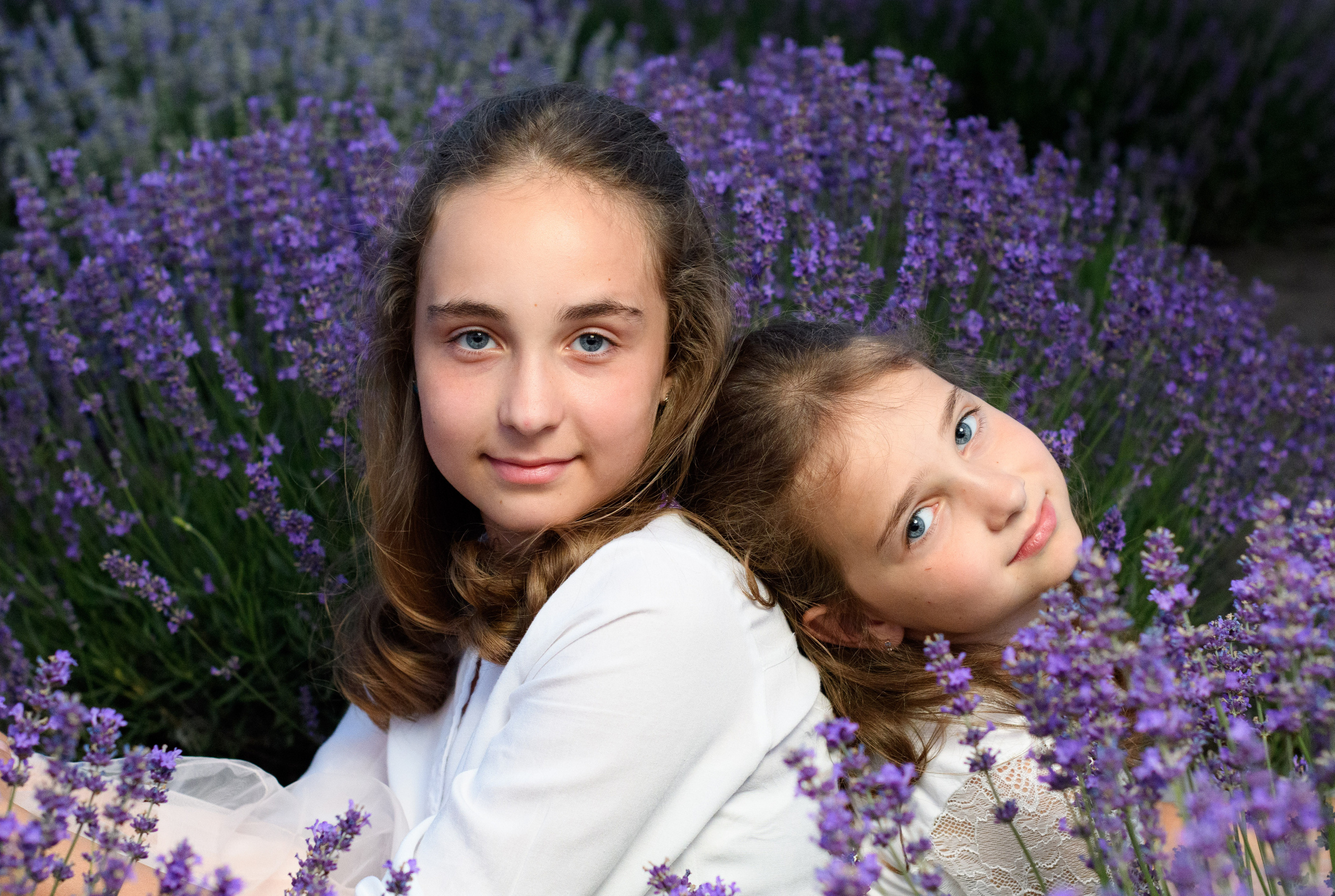 сестры на фотосессии в лаванде