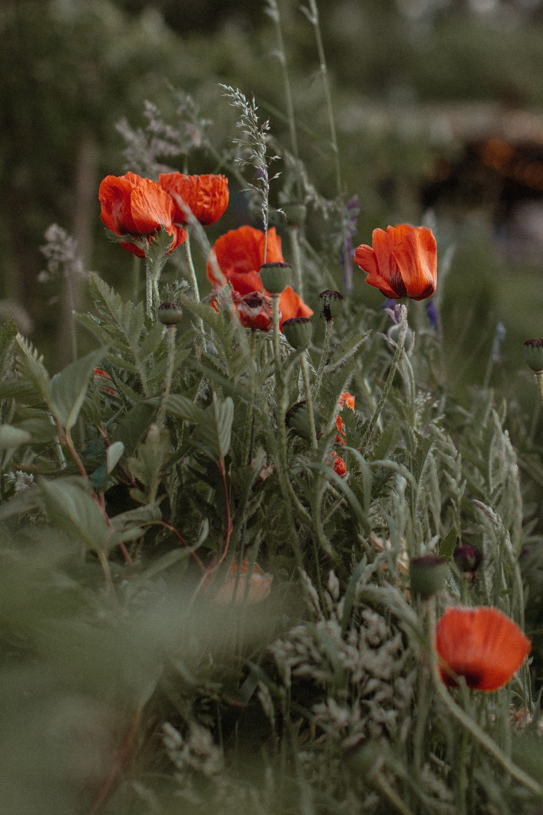 High vibes retreat reportage. True self