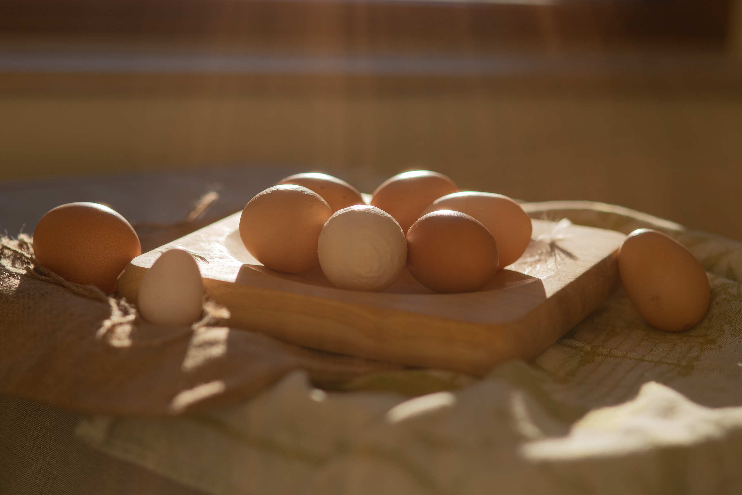 Projets créatifs. Семейный и детский фотограф в Люксембурге Anastasia Arend