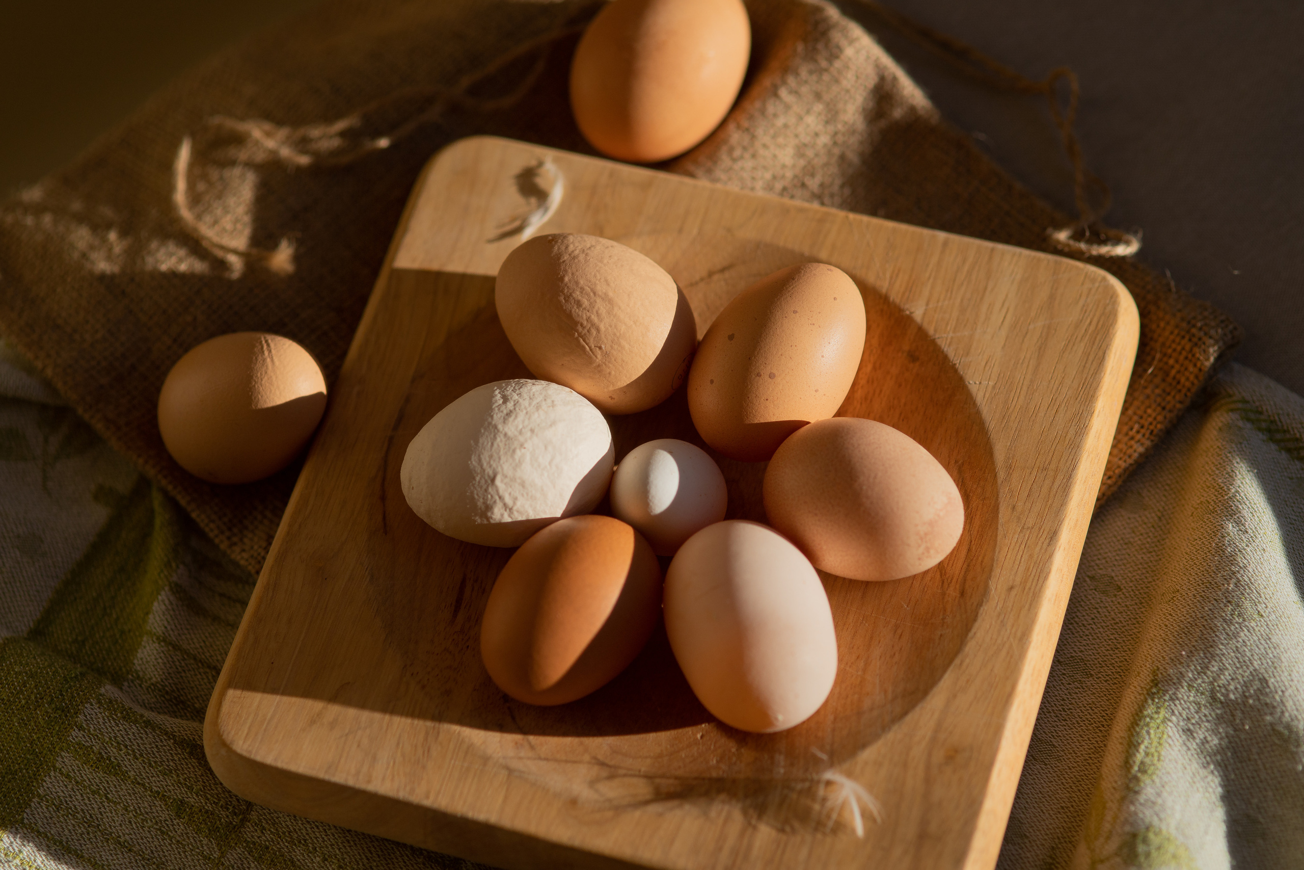 Projets créatifs. Семейный и детский фотограф в Люксембурге Anastasia Arend