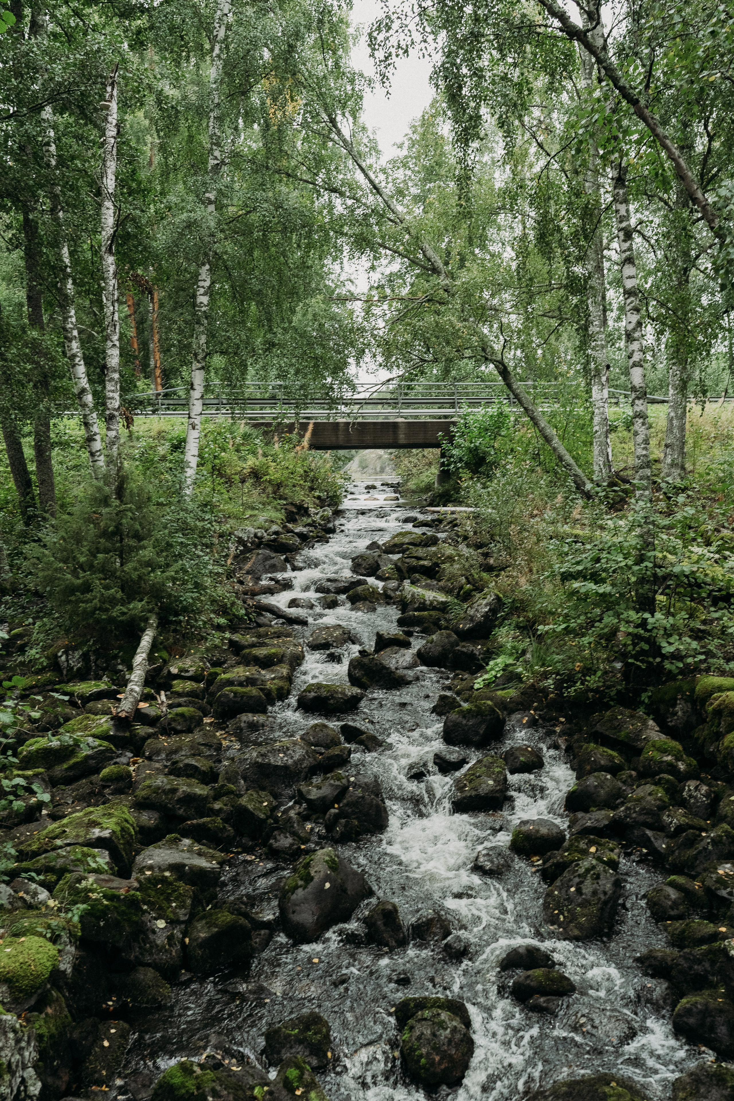 A&O. Wedding and portrait photographer in Helsinki Vickan O