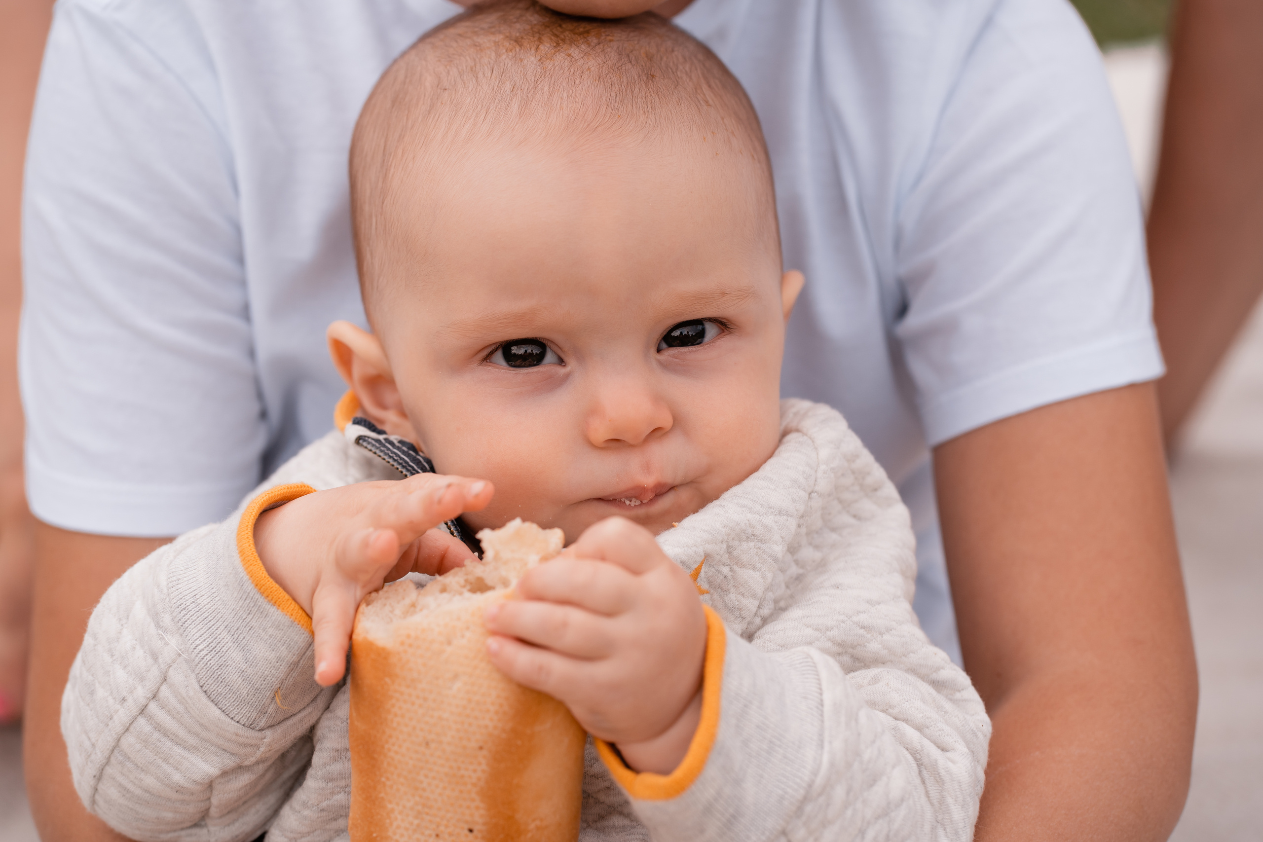 Family Picnic. Portrait, Family and Maternity Photographer in Dublin Tania Vaskul