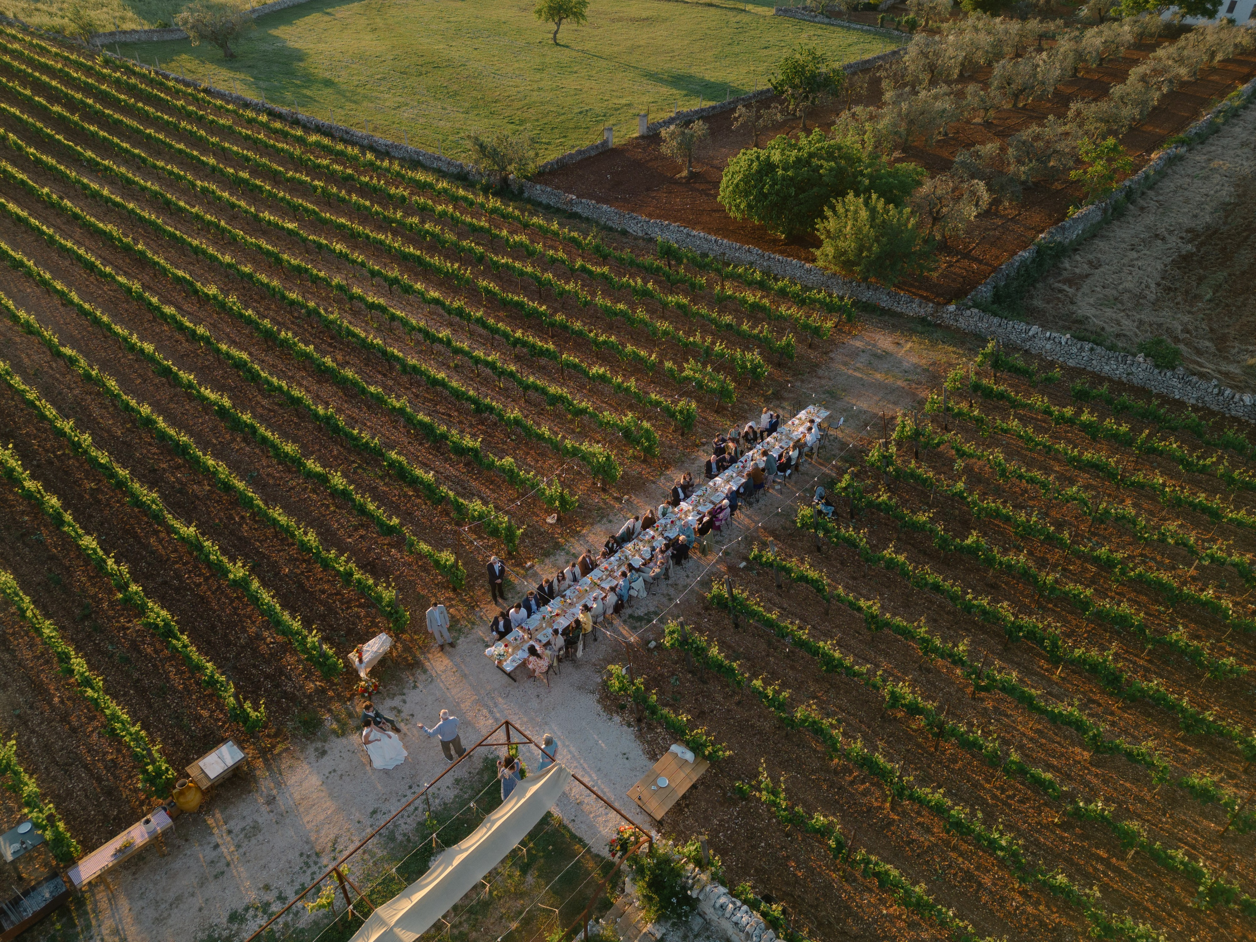 2. Весільний фотограф Вікторія Саврук