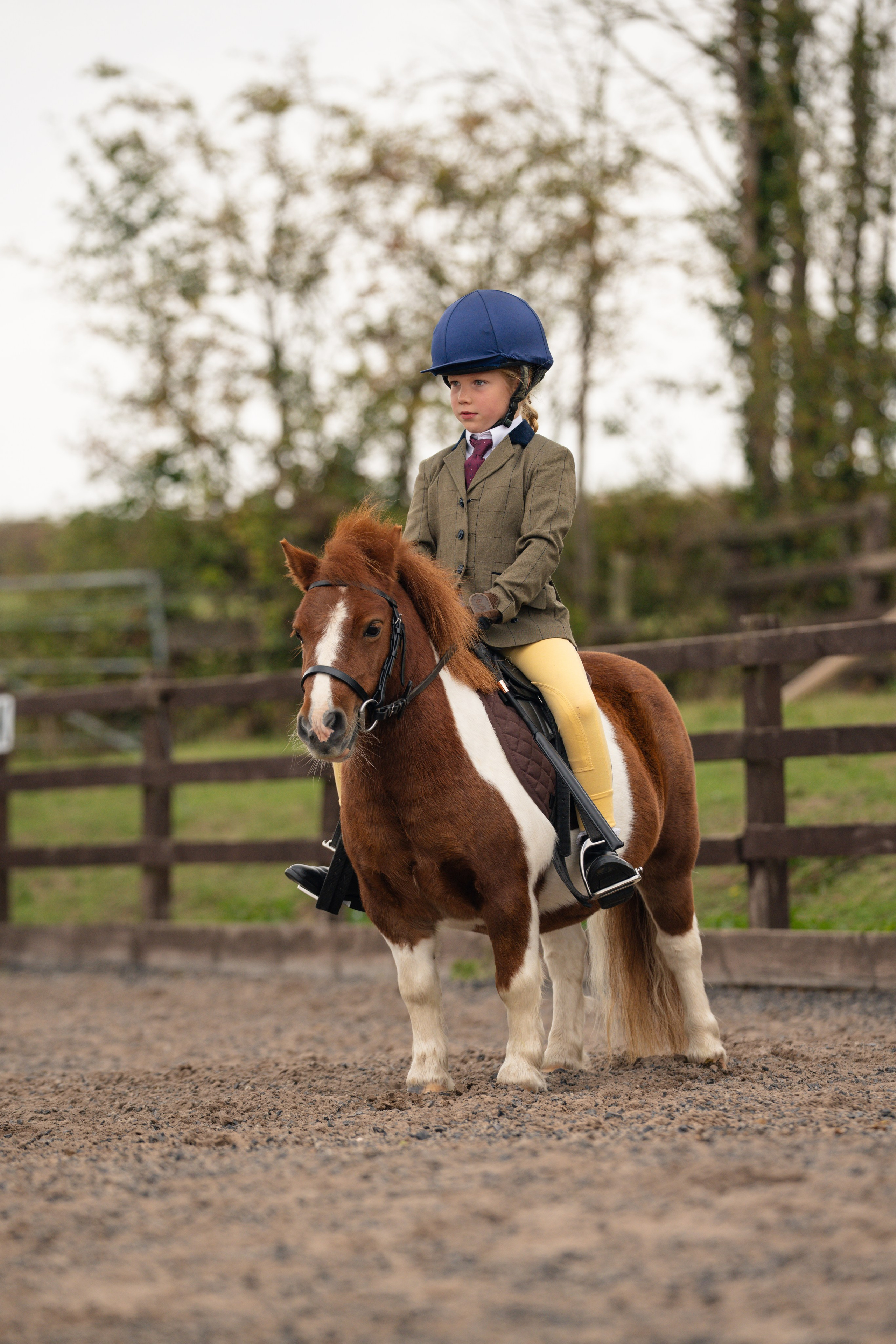 Show Jumping Photography in Leicestershire | Equine Action Shots by El. Leicestershire Equine Photography by El | Authentic Equine Portraits & Events