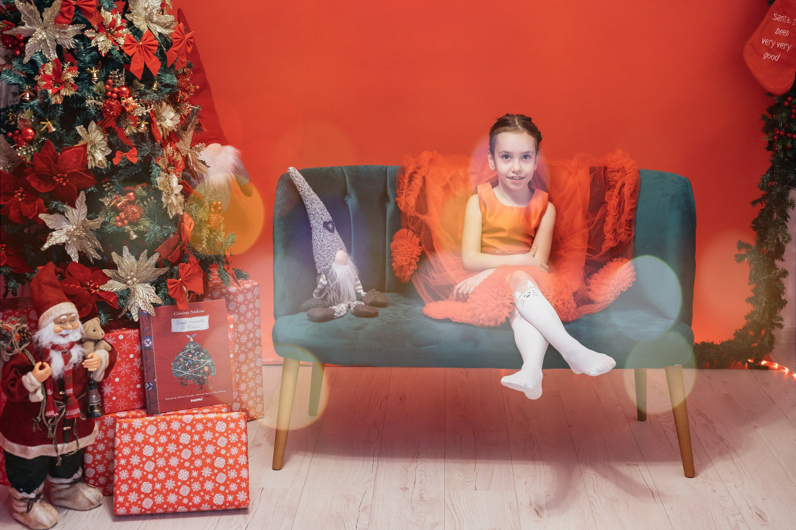 Sedinta Craciun Sofia