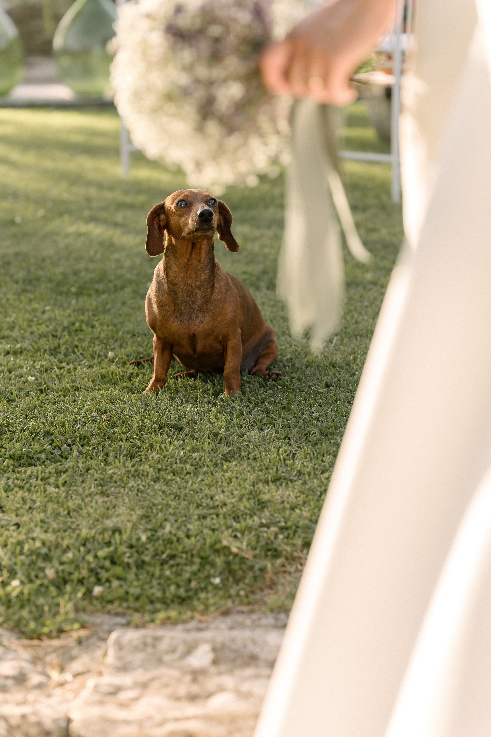 Matrimoni. Fotografo di matrimonio ed eventi ad ariano irpino