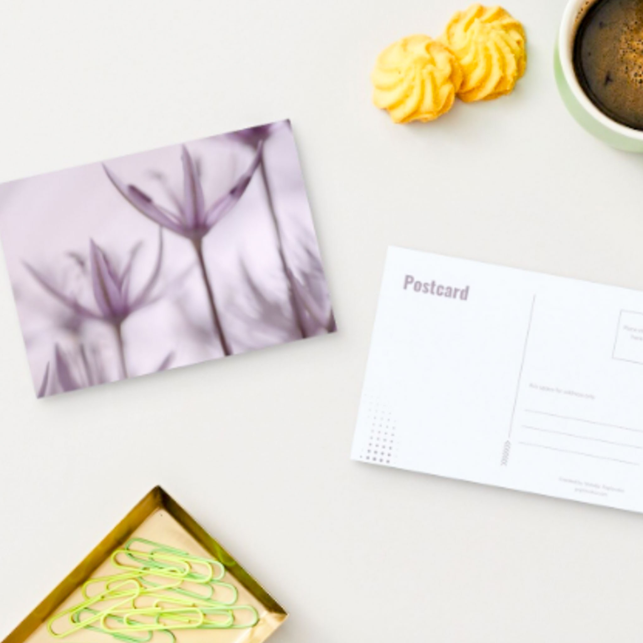 ART POSTCARDS. Natalja Poplavska — Visual artist, Photographer, East Sussex, London