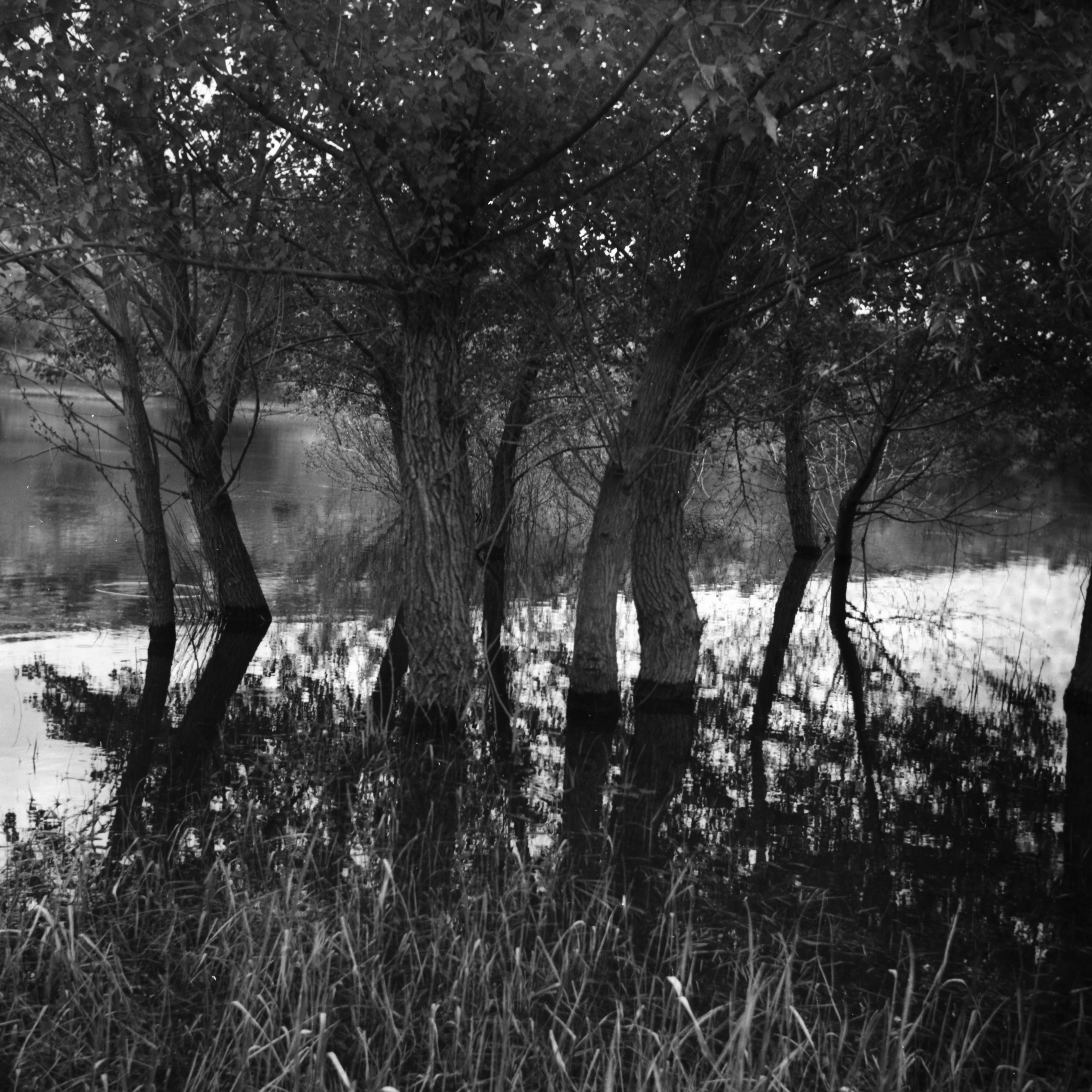 Tender Infinite Souls. Natalia Parfenova visual artist film photographer