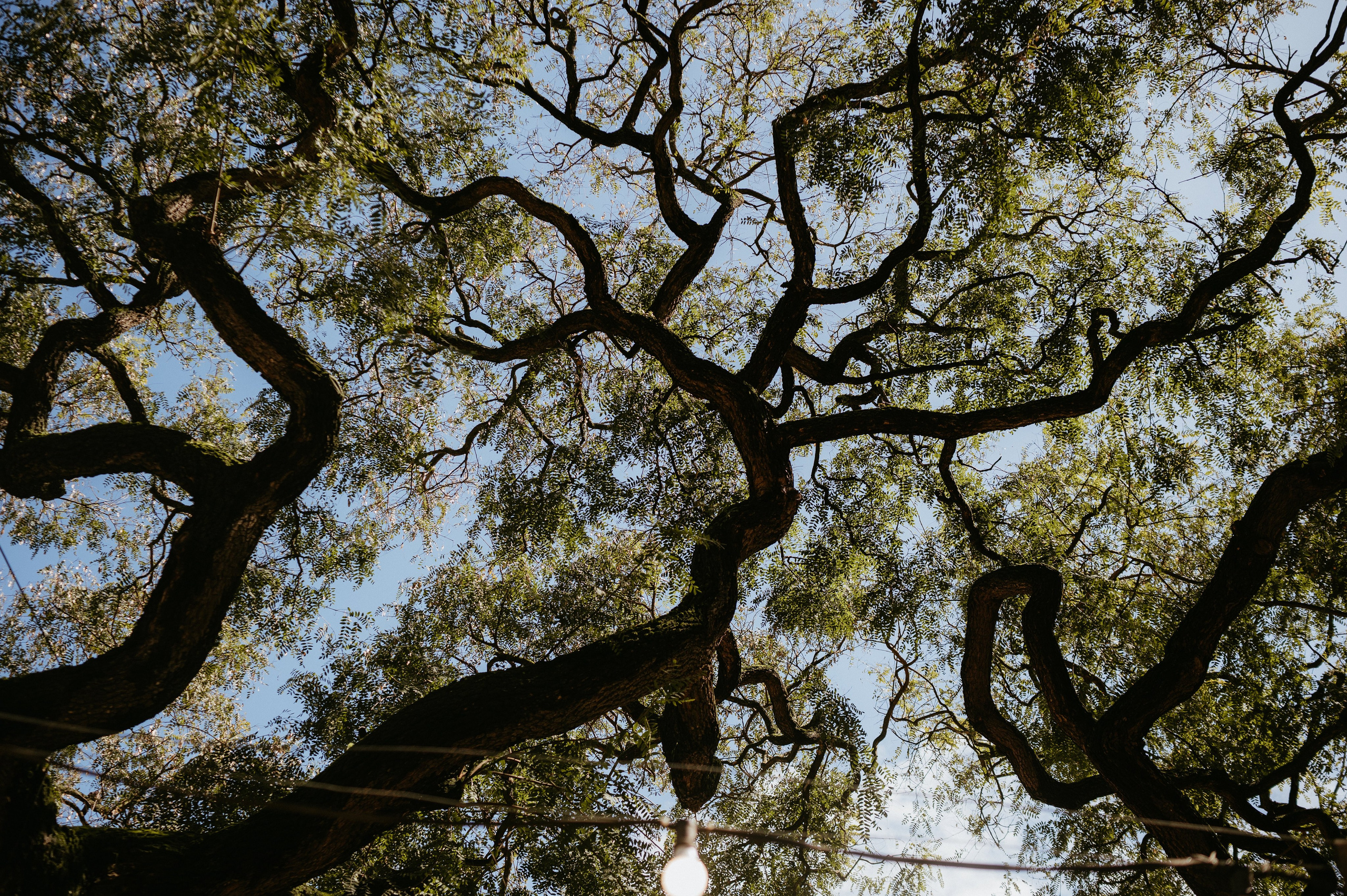 Ședință foto romantică în Lisabona – Inspirație pentru fotografiile de nuntă. Valentin Melen - fotograf de nunta 🤍