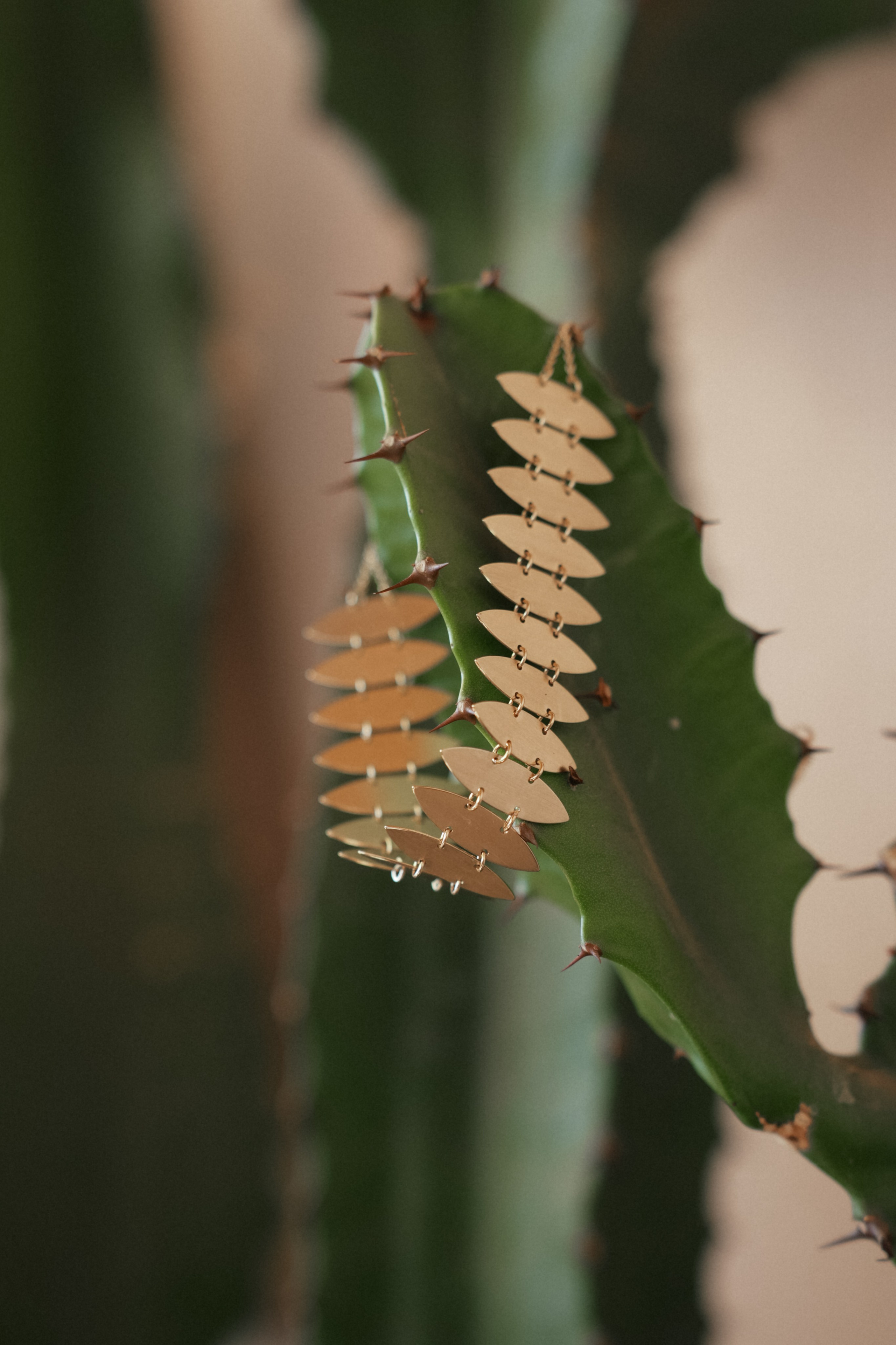 Morrocan dream. Patricia Morenci — Mountain Adventures for the Wild at Heart