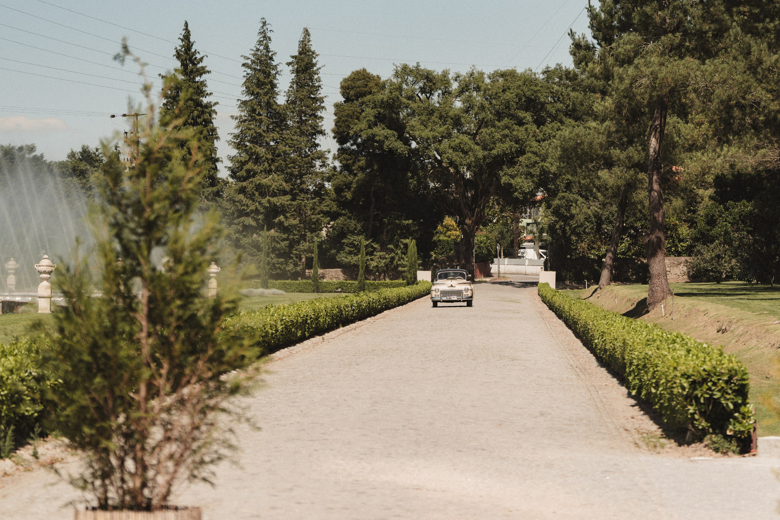 Miguel & Maria Inês. Photographe de mariage et de famille à Braga — Alexandra Mieres Photography