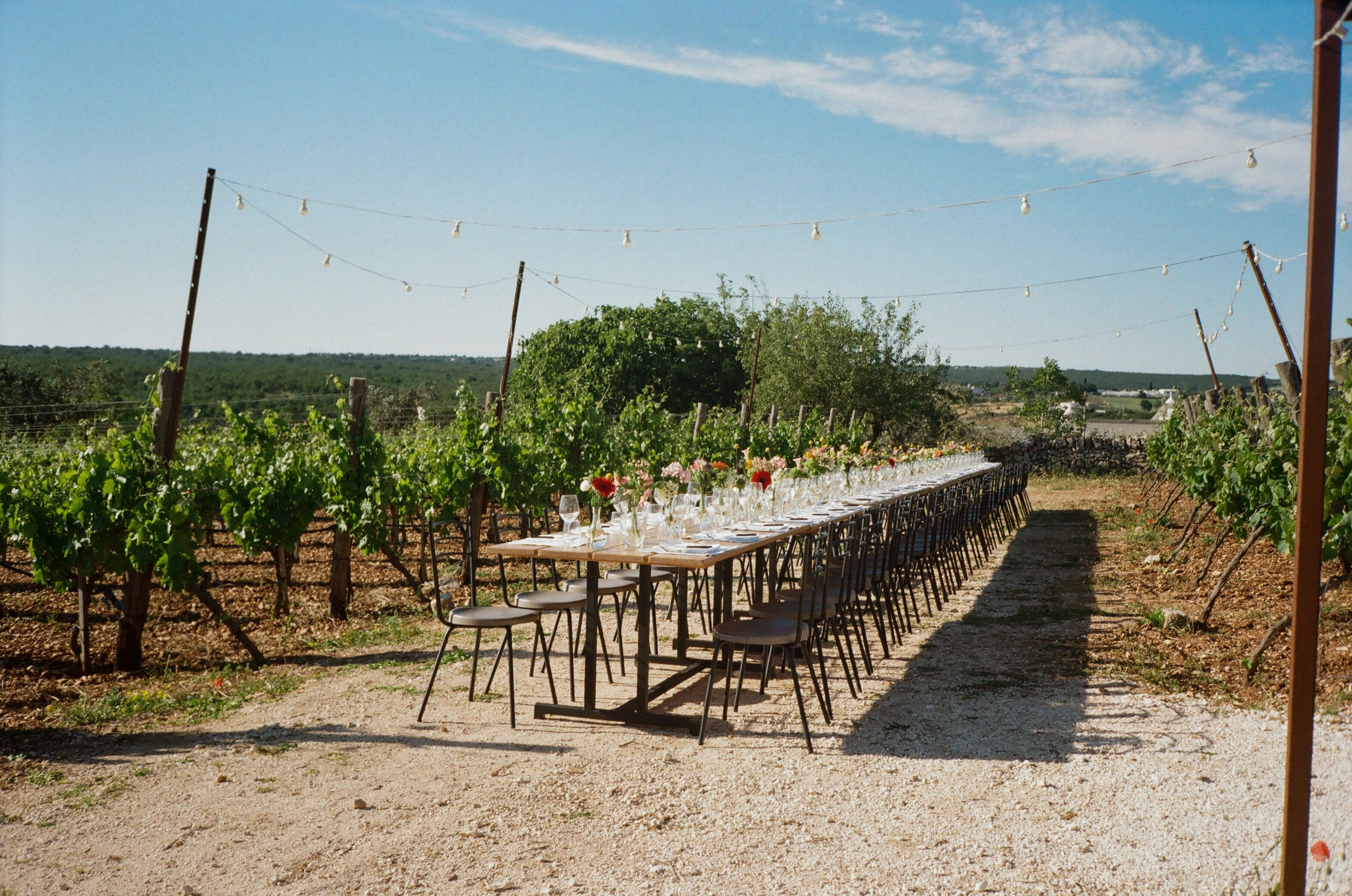 Stephanie & Christian film photos. Wedding photographer Italy