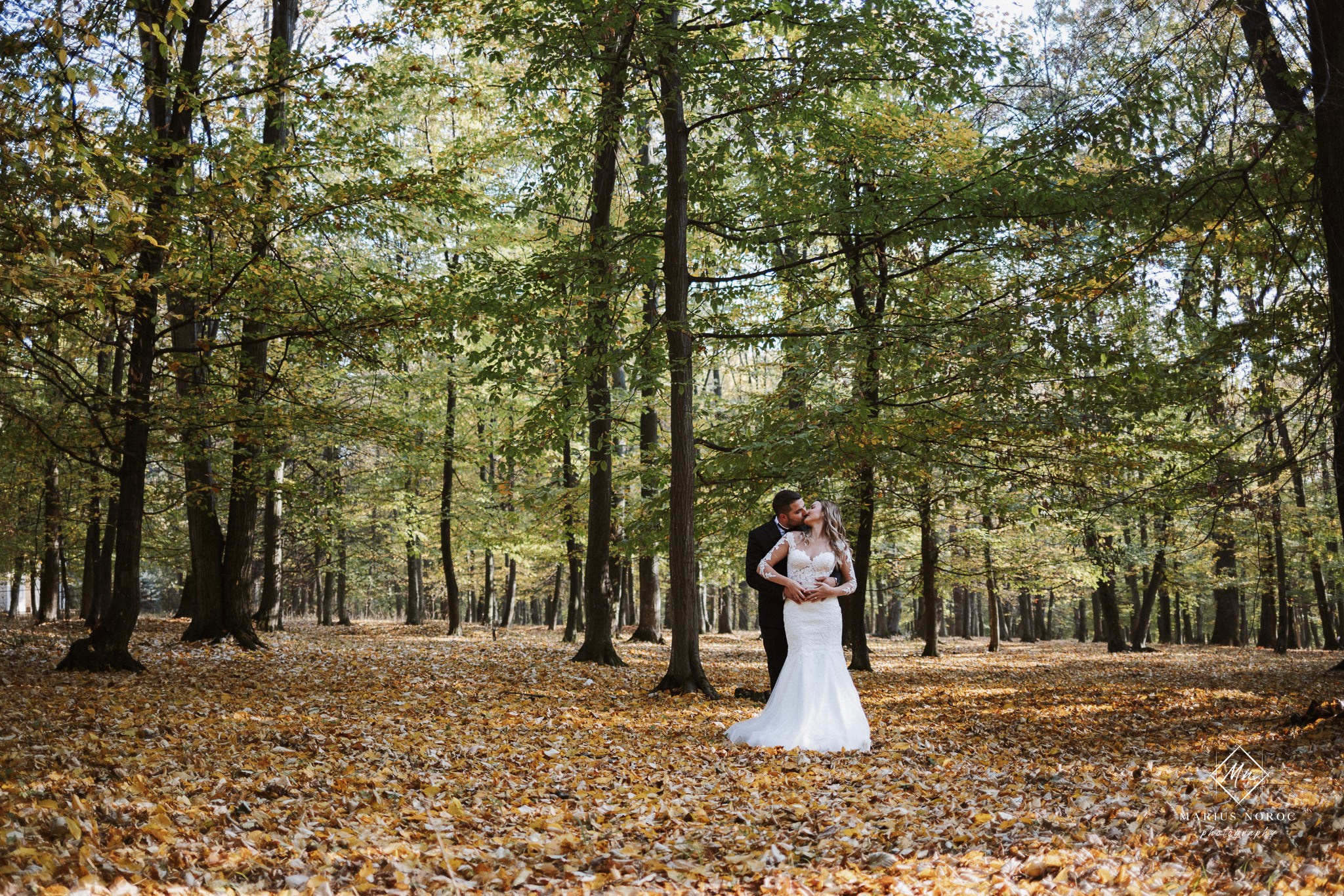 Alexandra & Laurentiu | Padurea Bucium Iasi