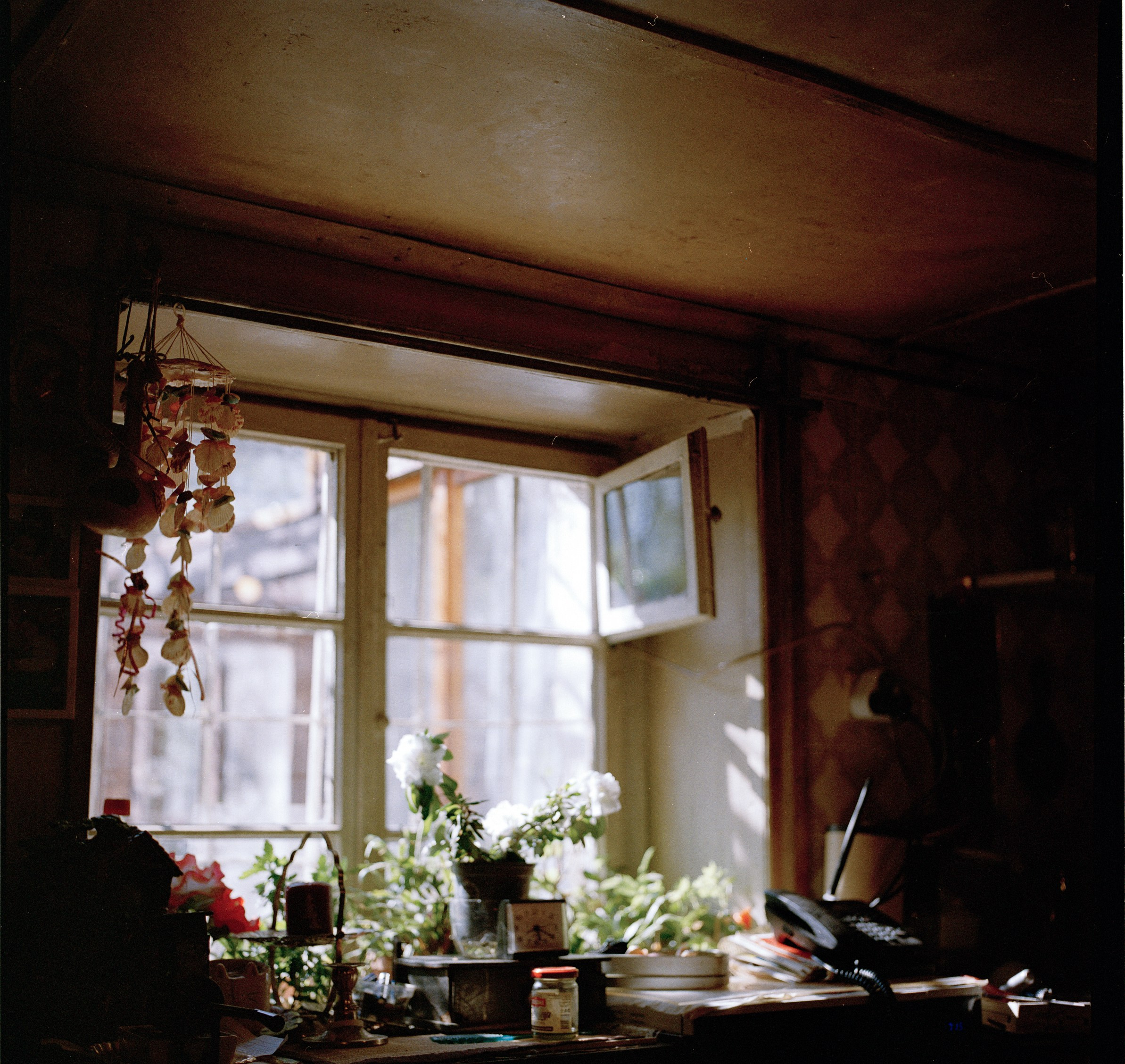 Still Home. Professional Photographer, Videographer in London Dilyana Tankova