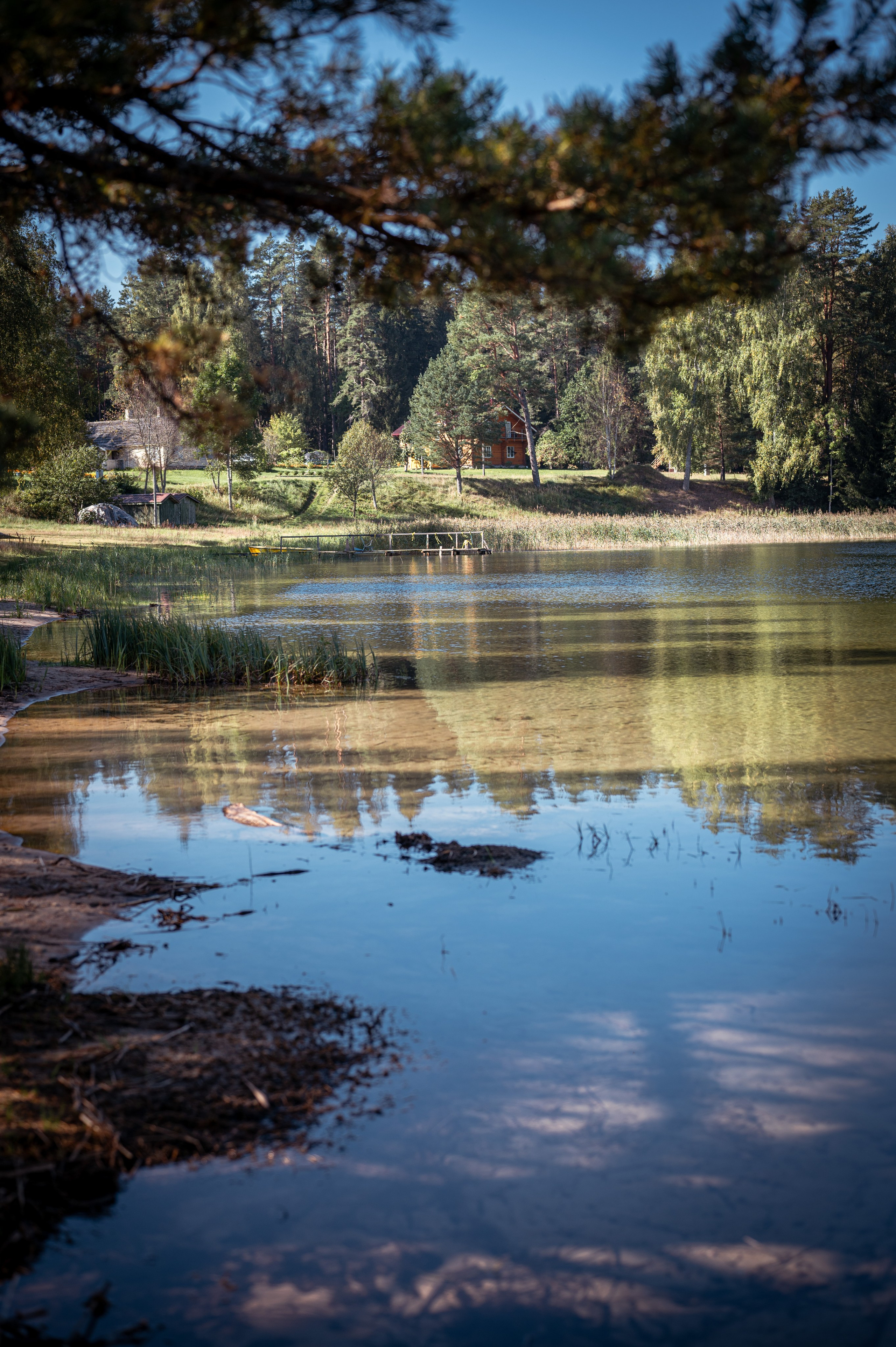 Мероприятия. Фотограф Сергей Трифонов