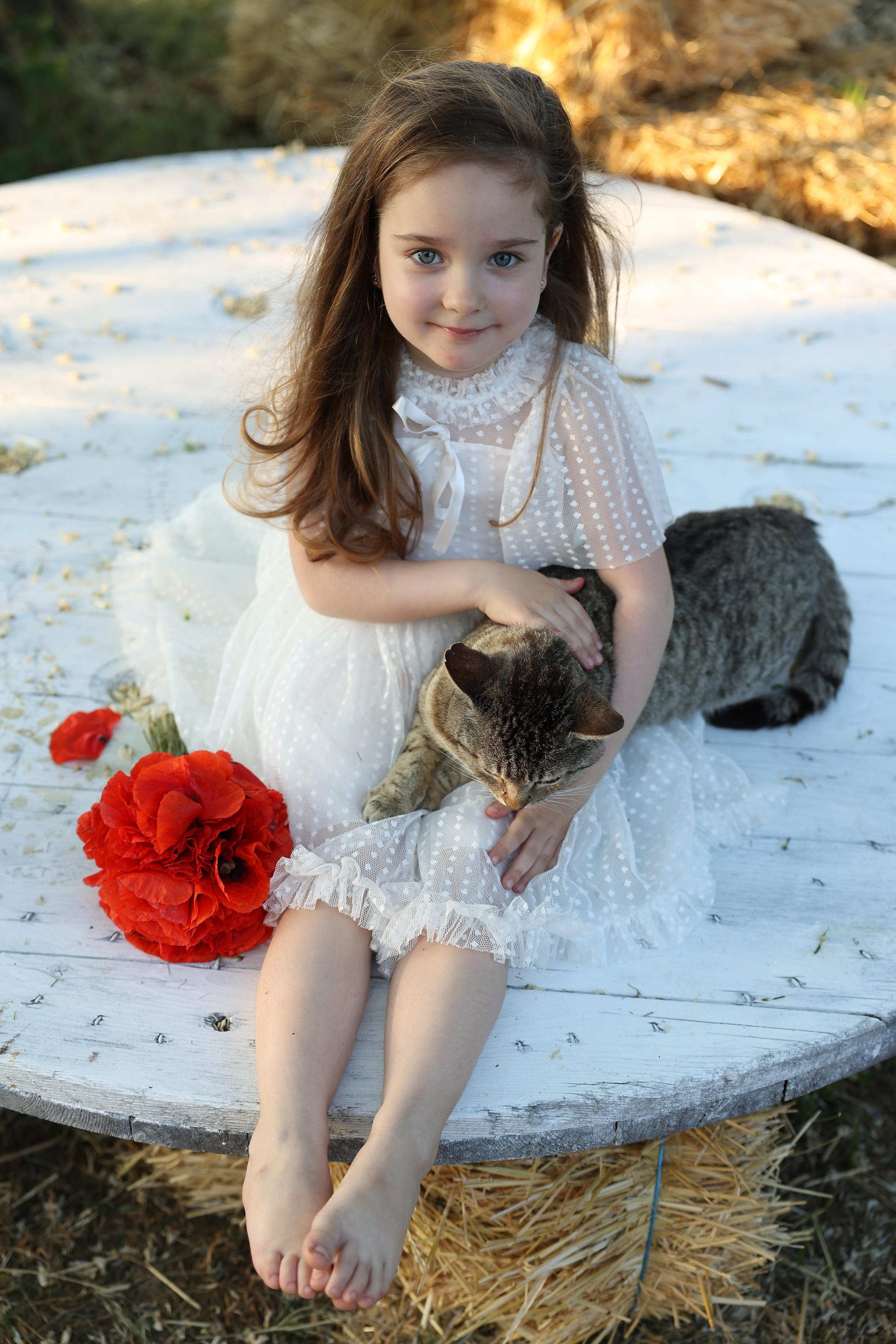 Portrait and Family Photographer in Netherlands