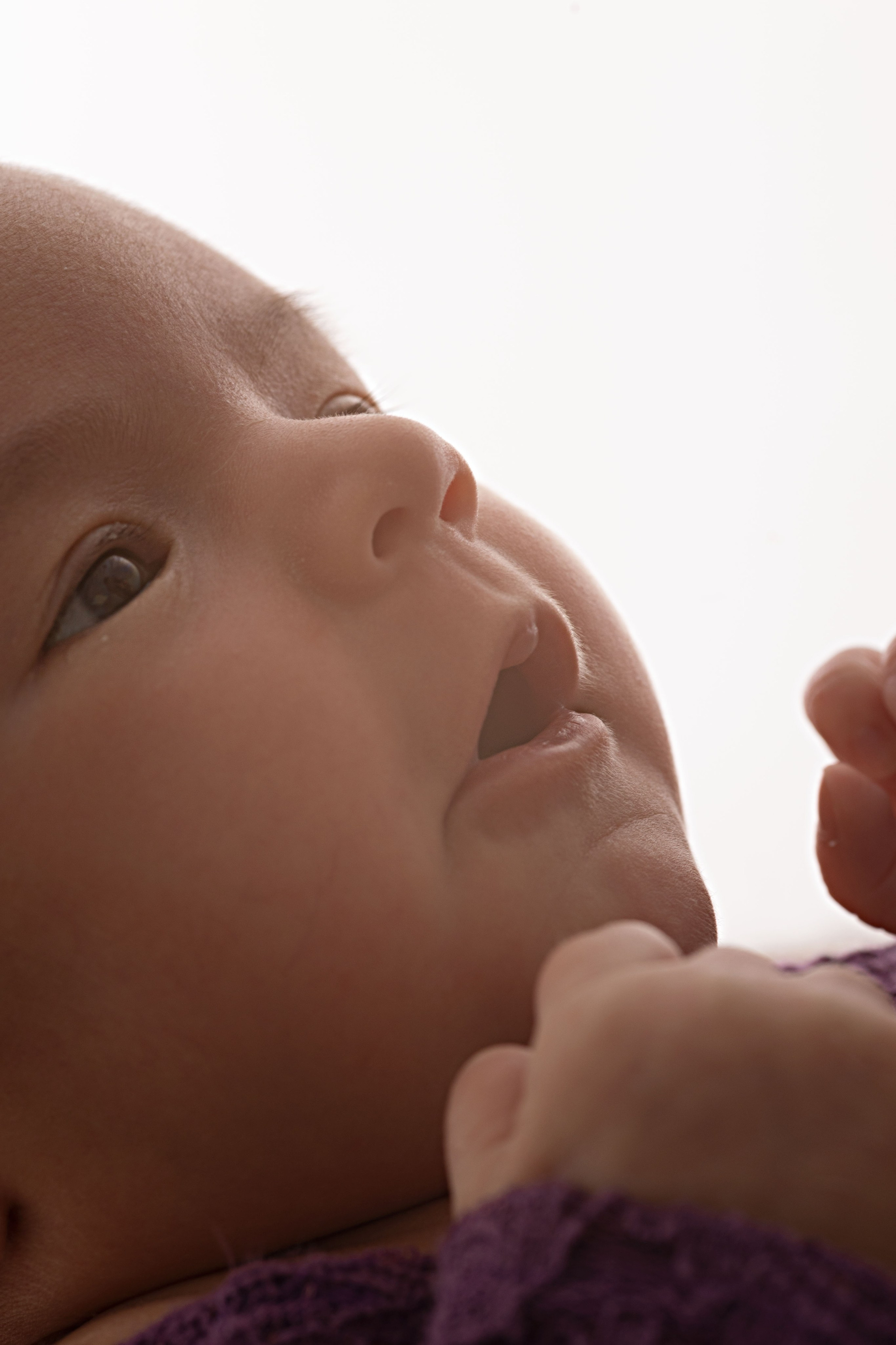 C&C. Portrait and Family Photographer in Netherlands