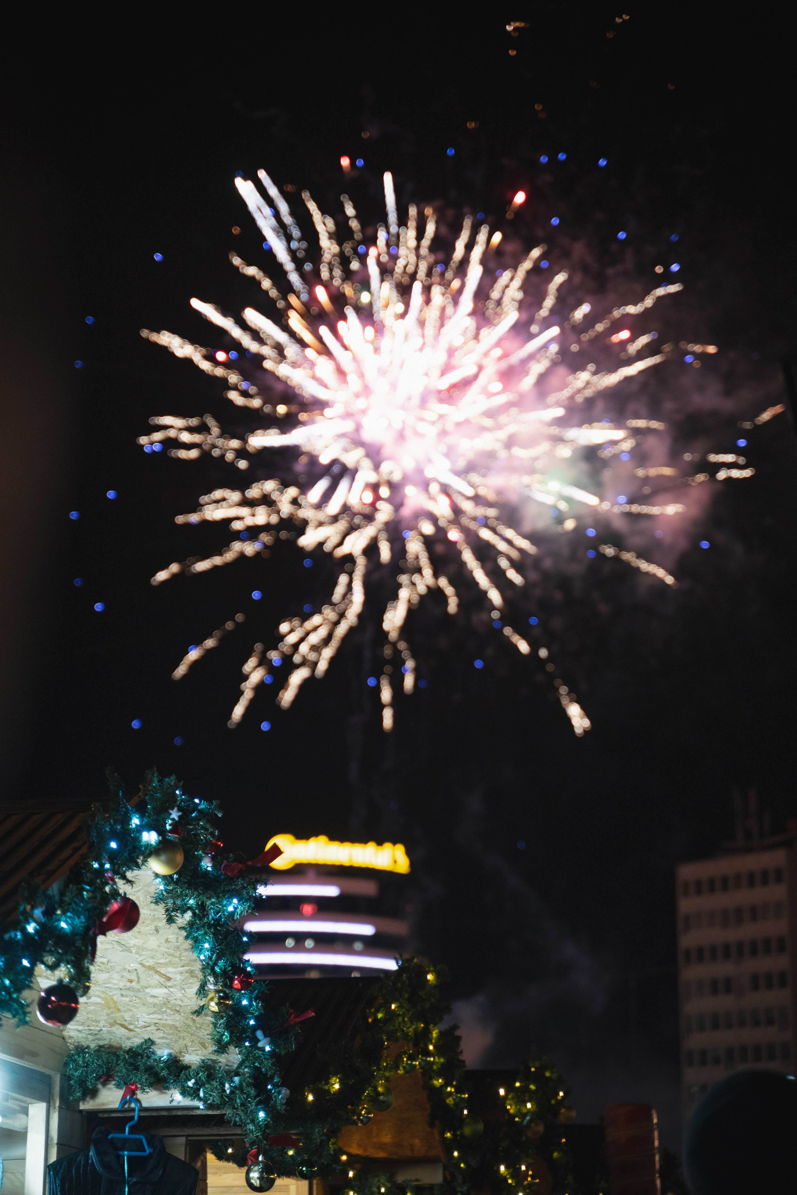 Novosadski Zimzolend. Жуков Студио