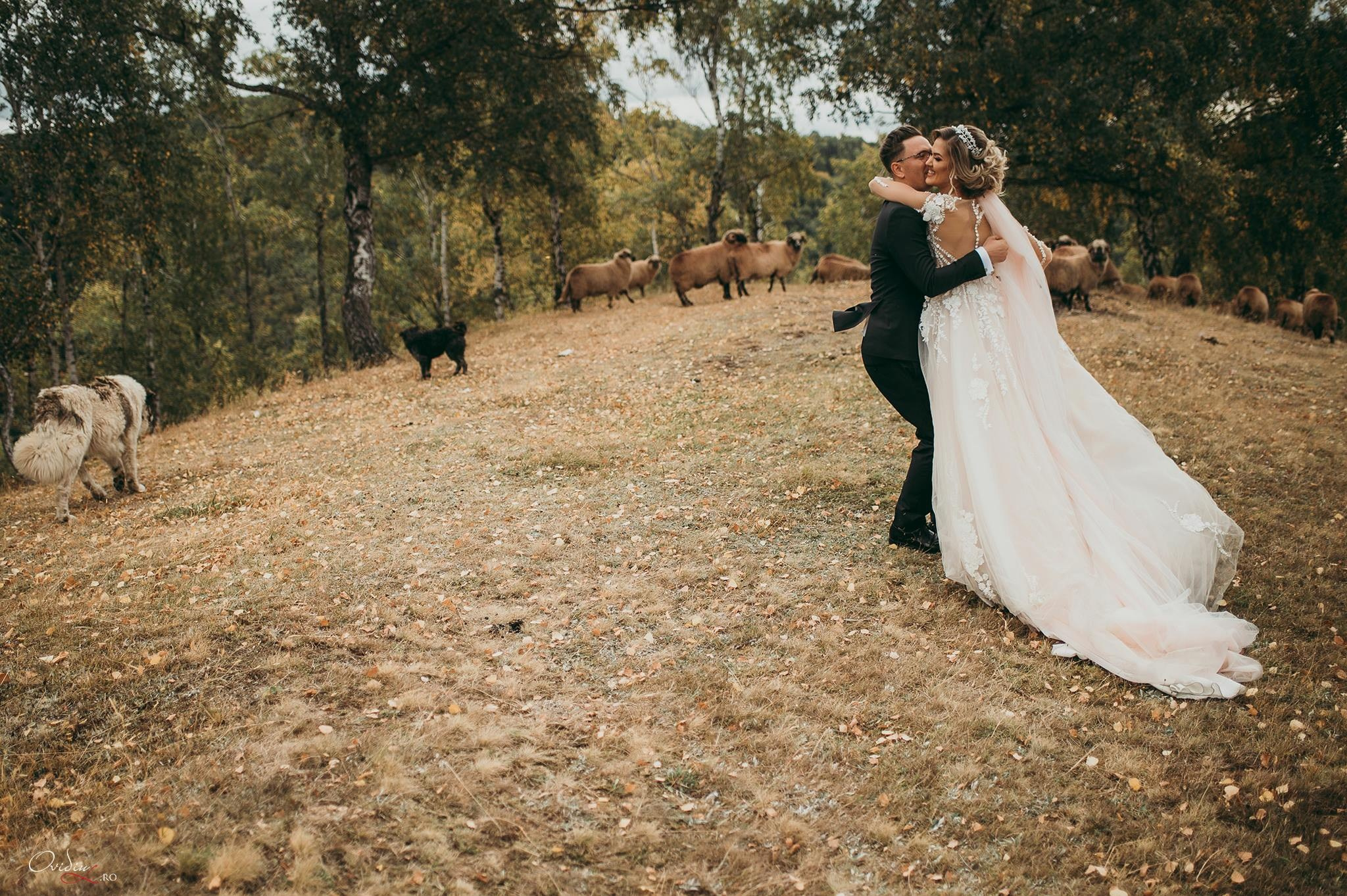 Wedding and portrait photographer in Suceava Ovidiu Lesan