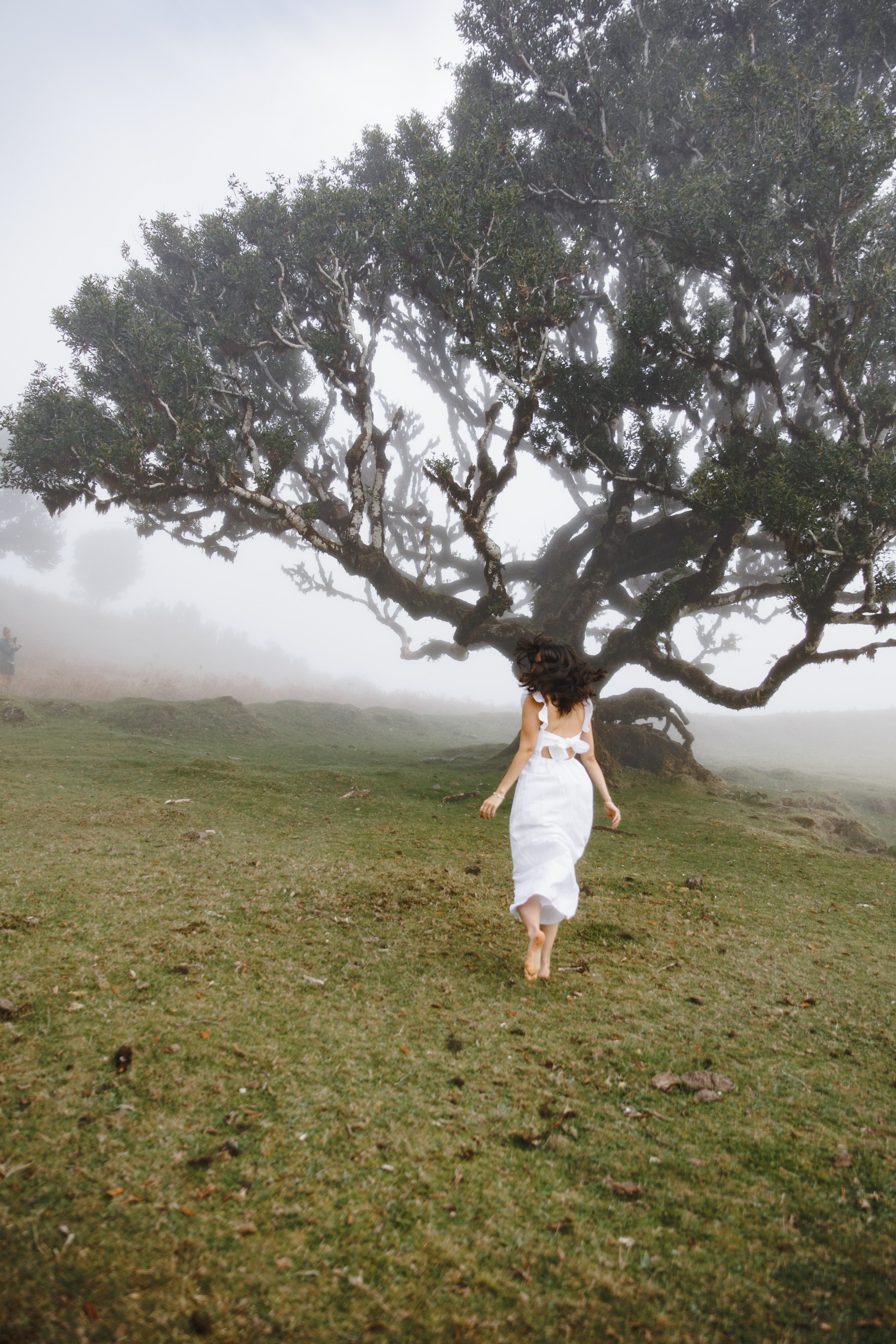 Lost in Madeira. Patricia Morenci — Mountain Adventures for the Wild at Heart