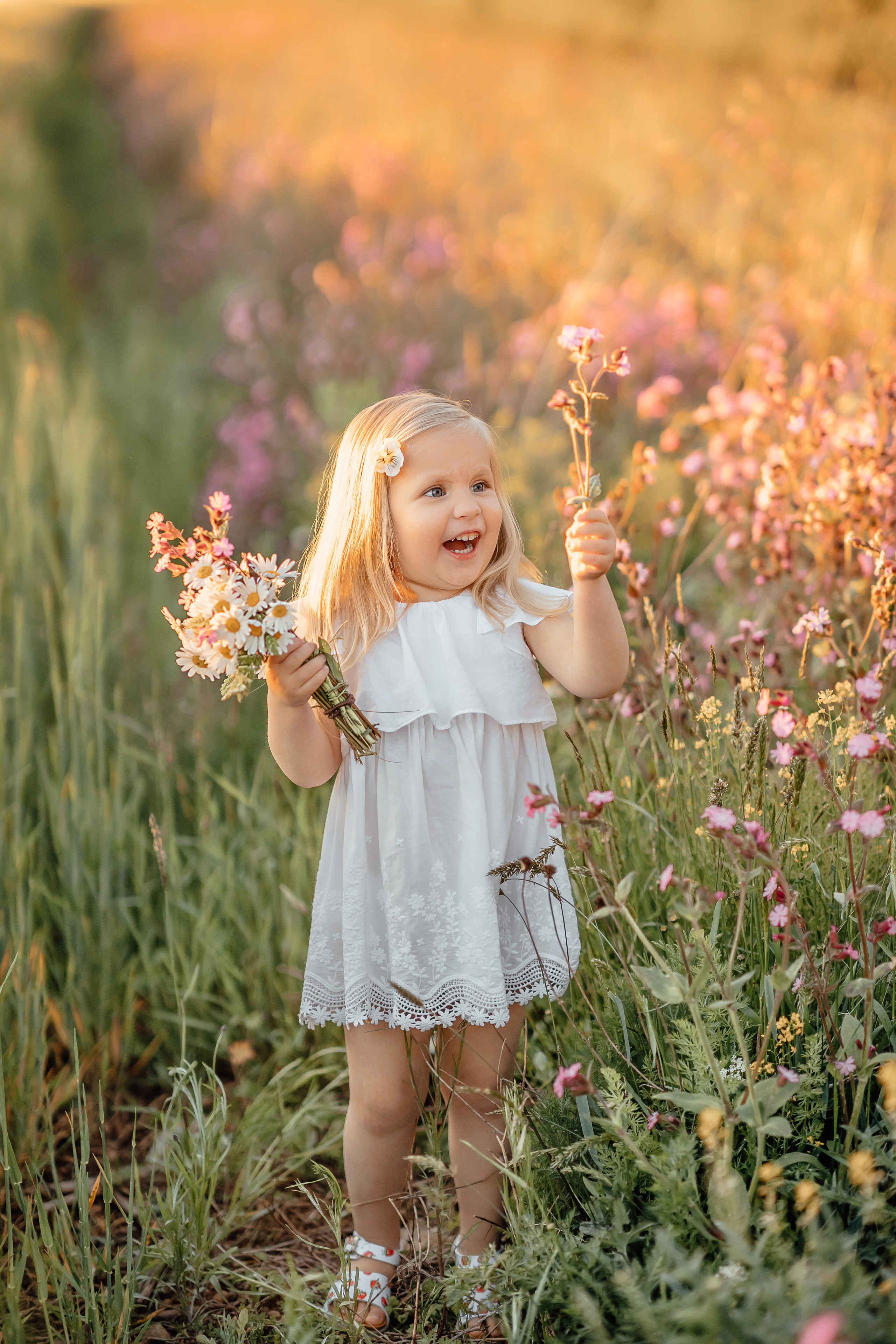 Honey camomile. Фотограф в Мюнхене Анастасия Воробцова