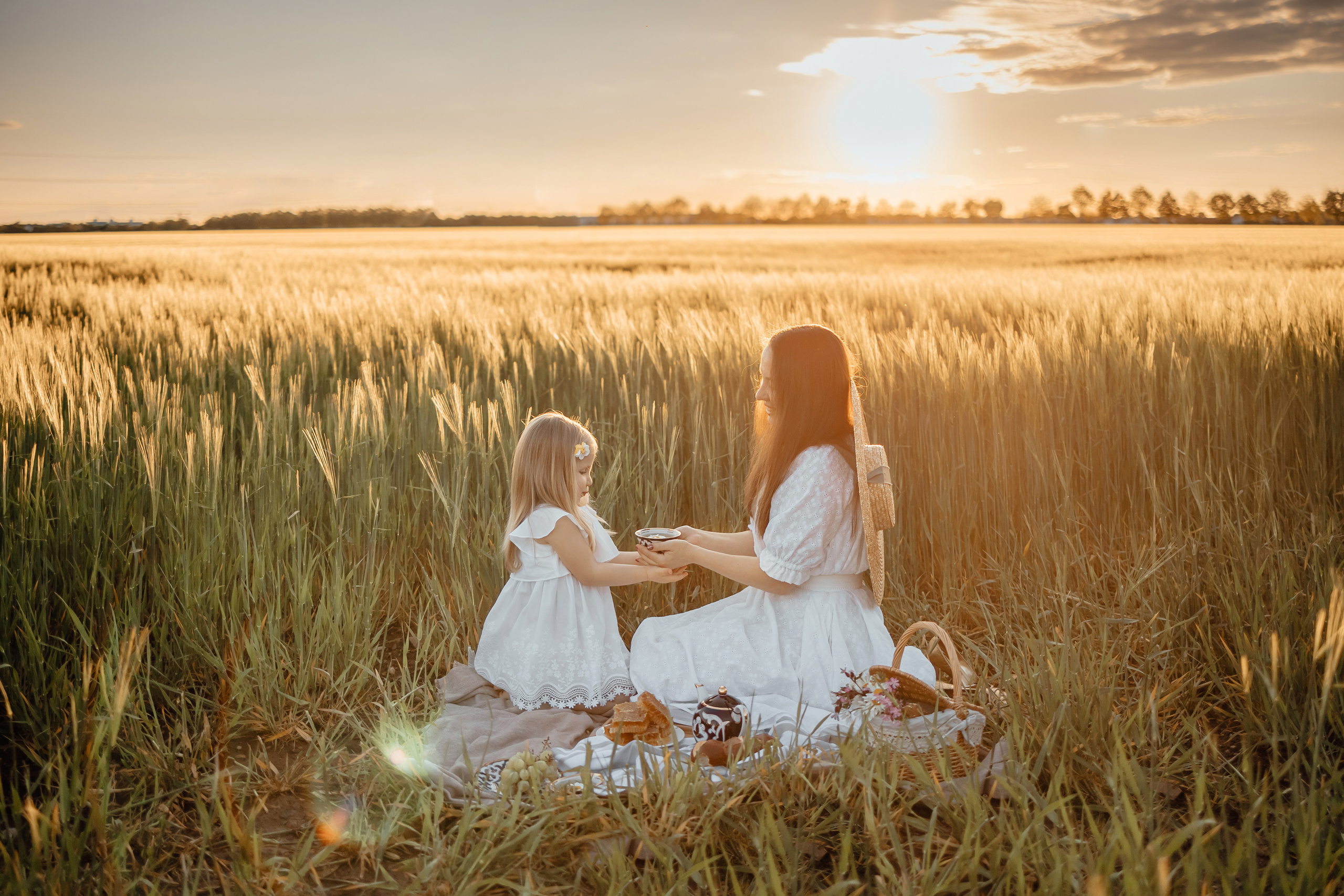 Honey camomile. Фотограф в Мюнхене Анастасия Воробцова