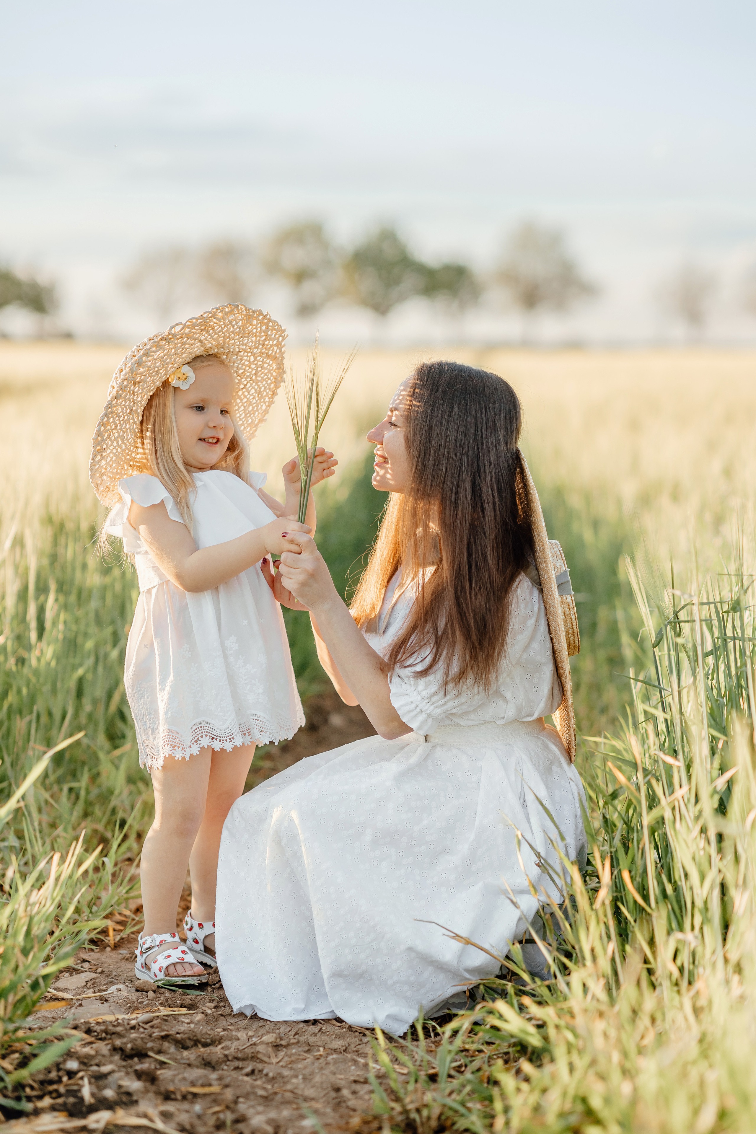 Honey camomile. Фотограф в Мюнхене Анастасия Воробцова