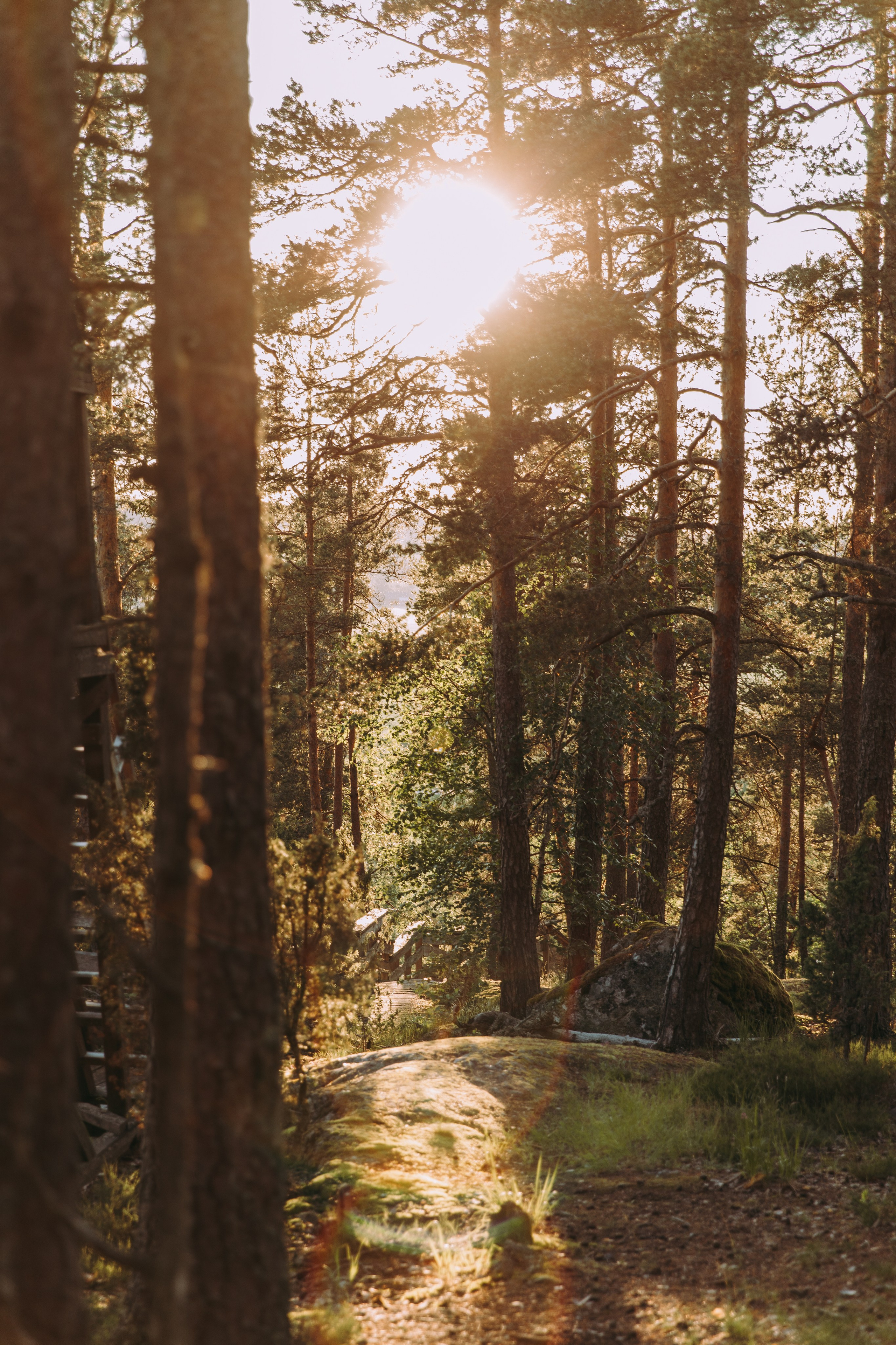 J&J. Valokuvaaja Itä-Uudellamaalla Viktoria photography