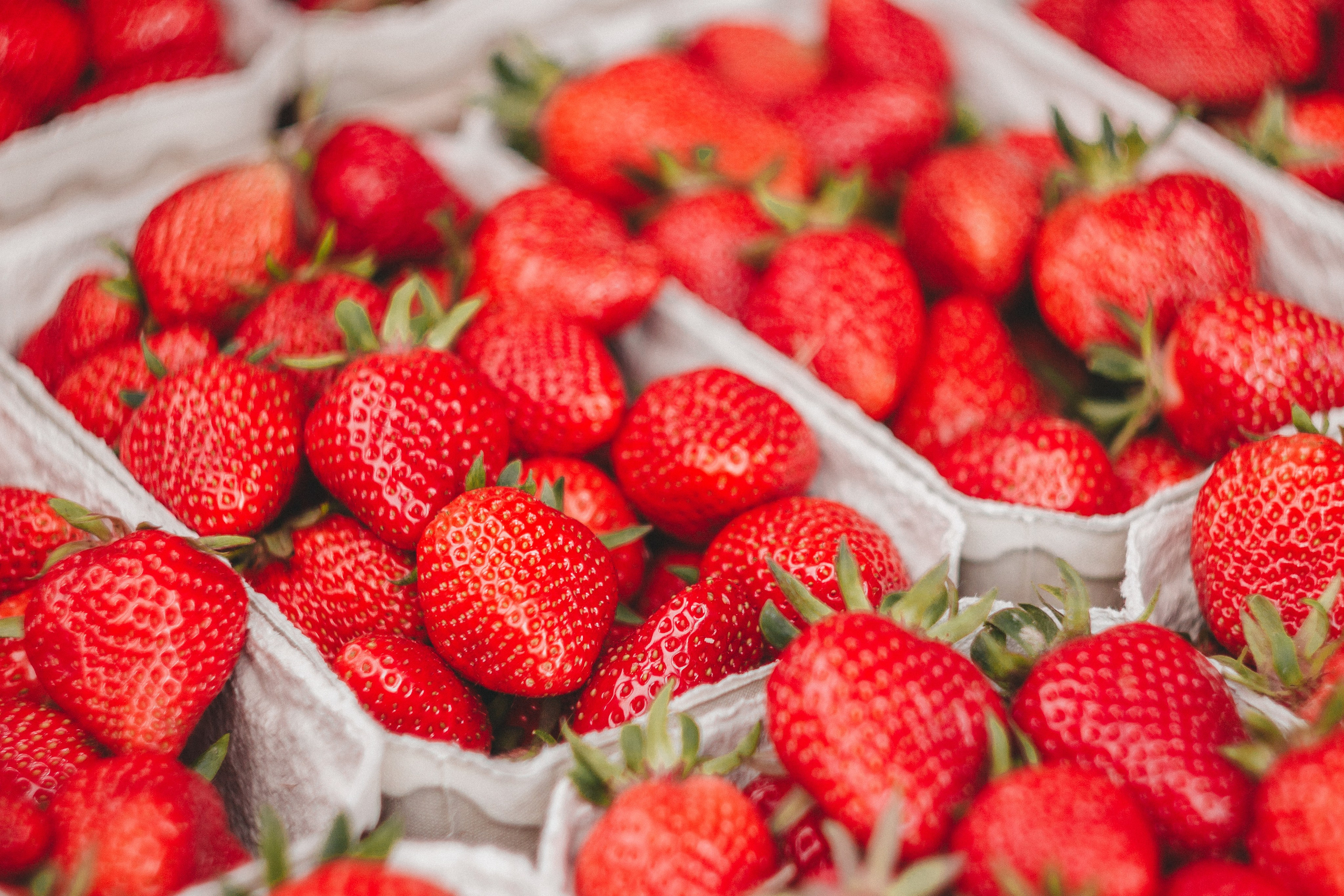Праздник клубники в Оберкирхе. Фотограф в Германии — Мария Чистякова