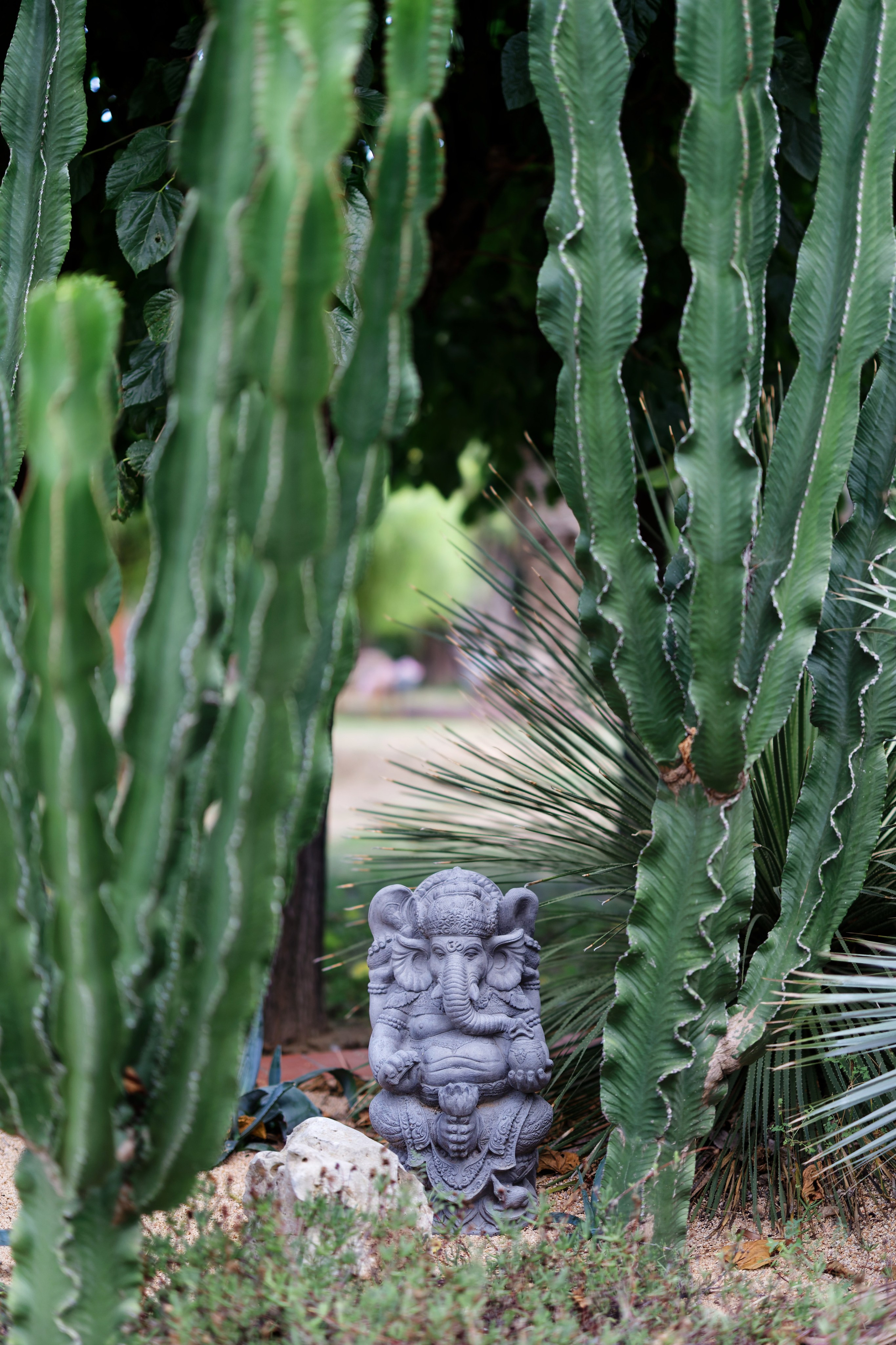 Indian wedding at Gran Villa Rosa, Barcelona, Spain Preview