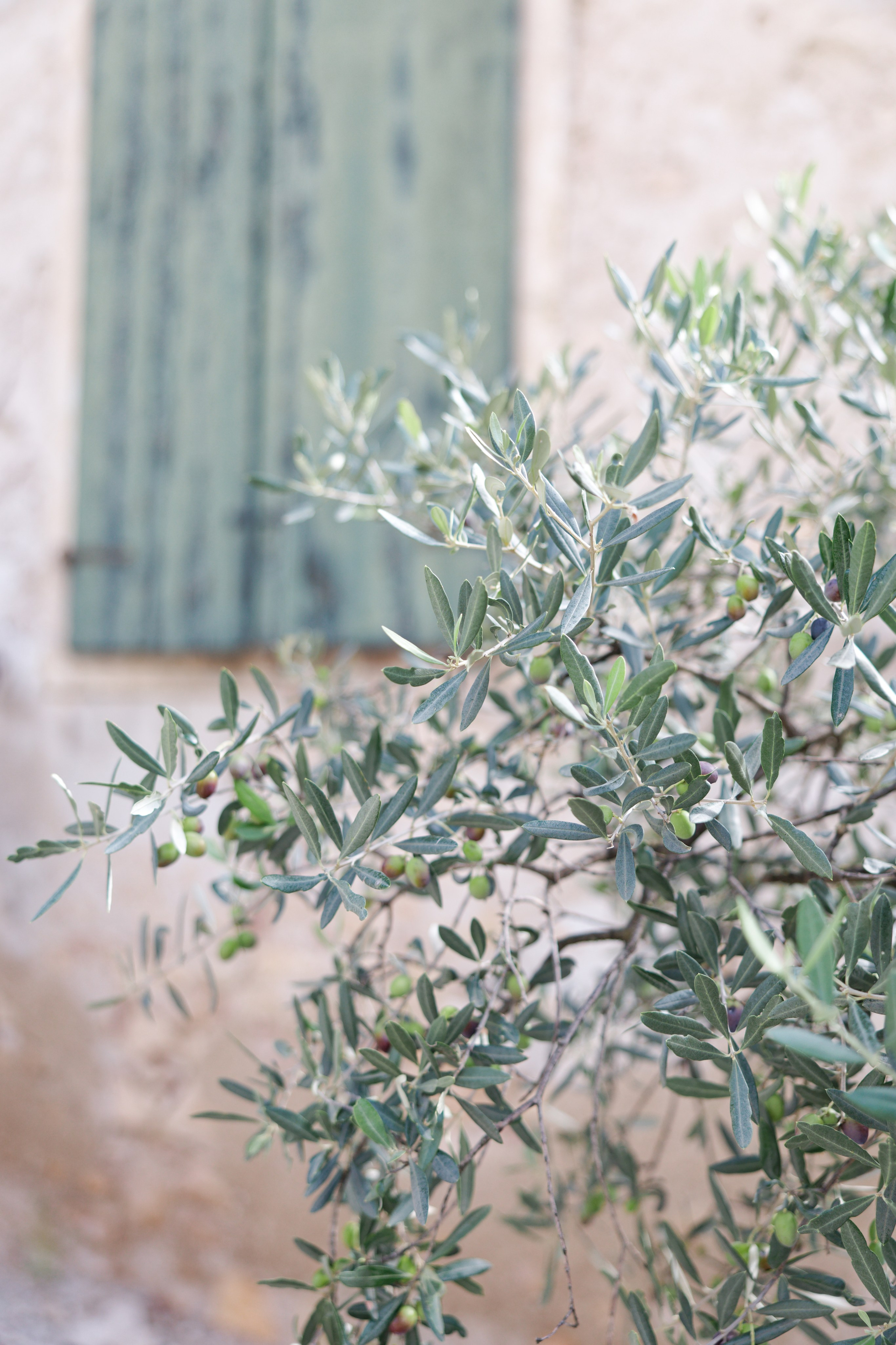 Wedding editorial at Villa Arvedi, Verona, Italy