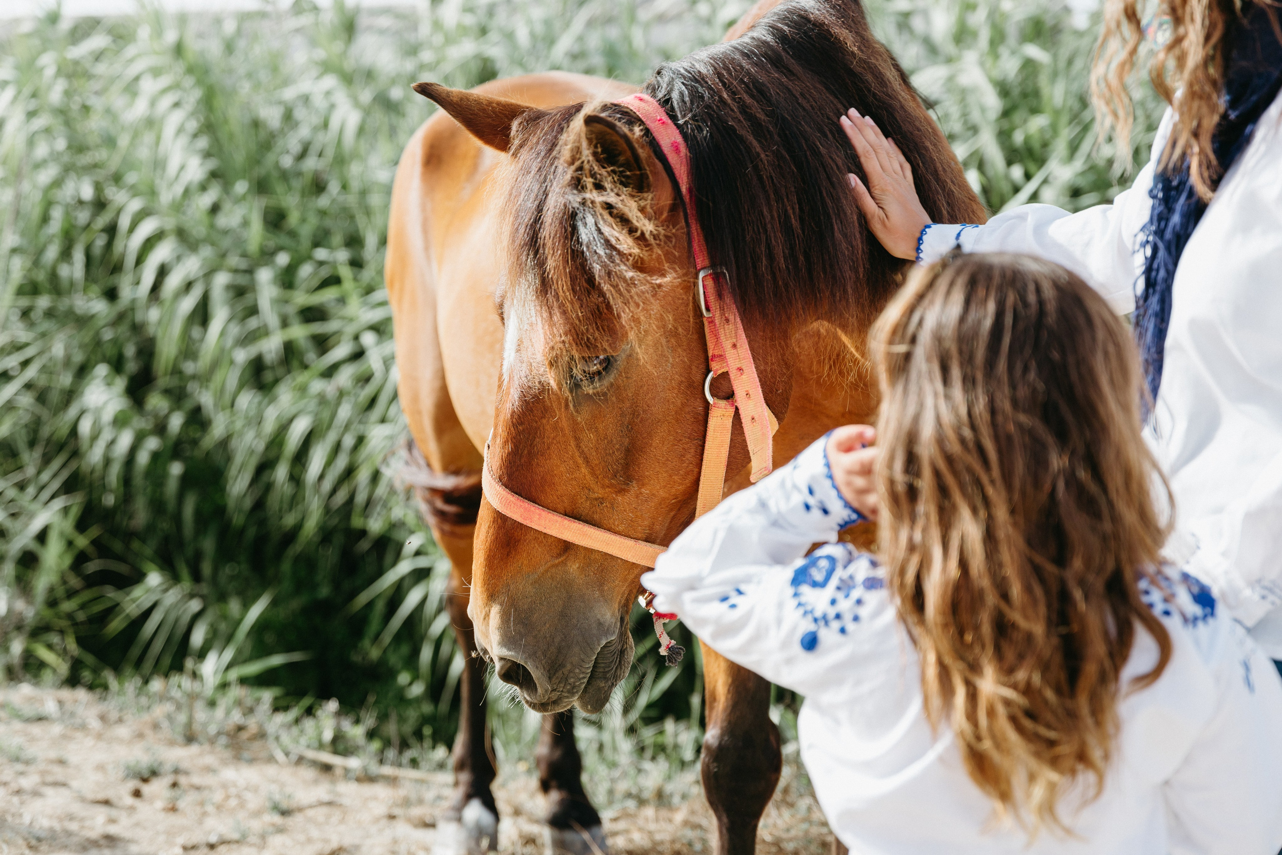Marlene & Tiago com filhos. Passeios a Cavalo na Praia Peniche | Eco Salgados Agroturismo