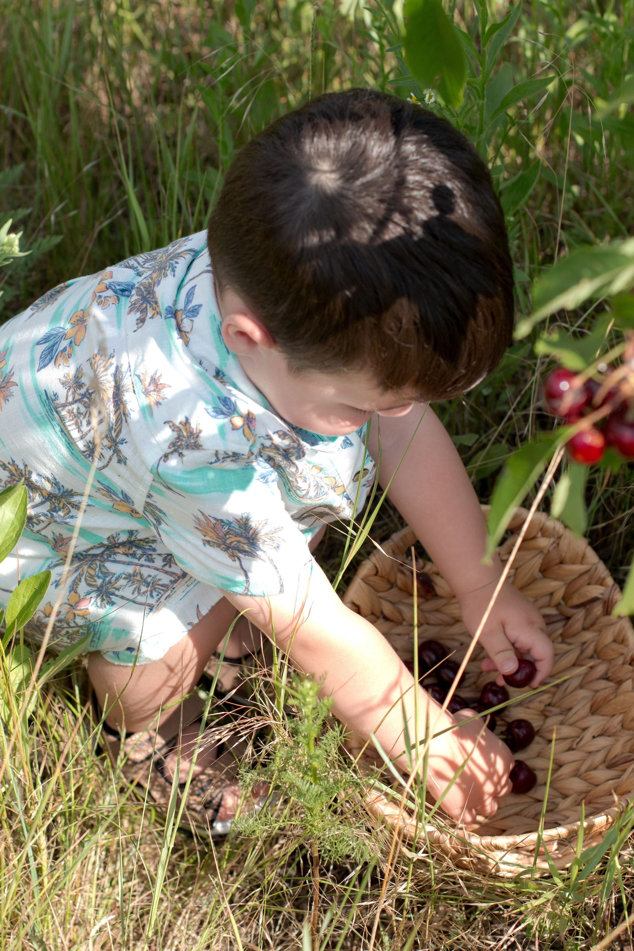 Черешня. Детский и семейный фотограф в г. Бельцы