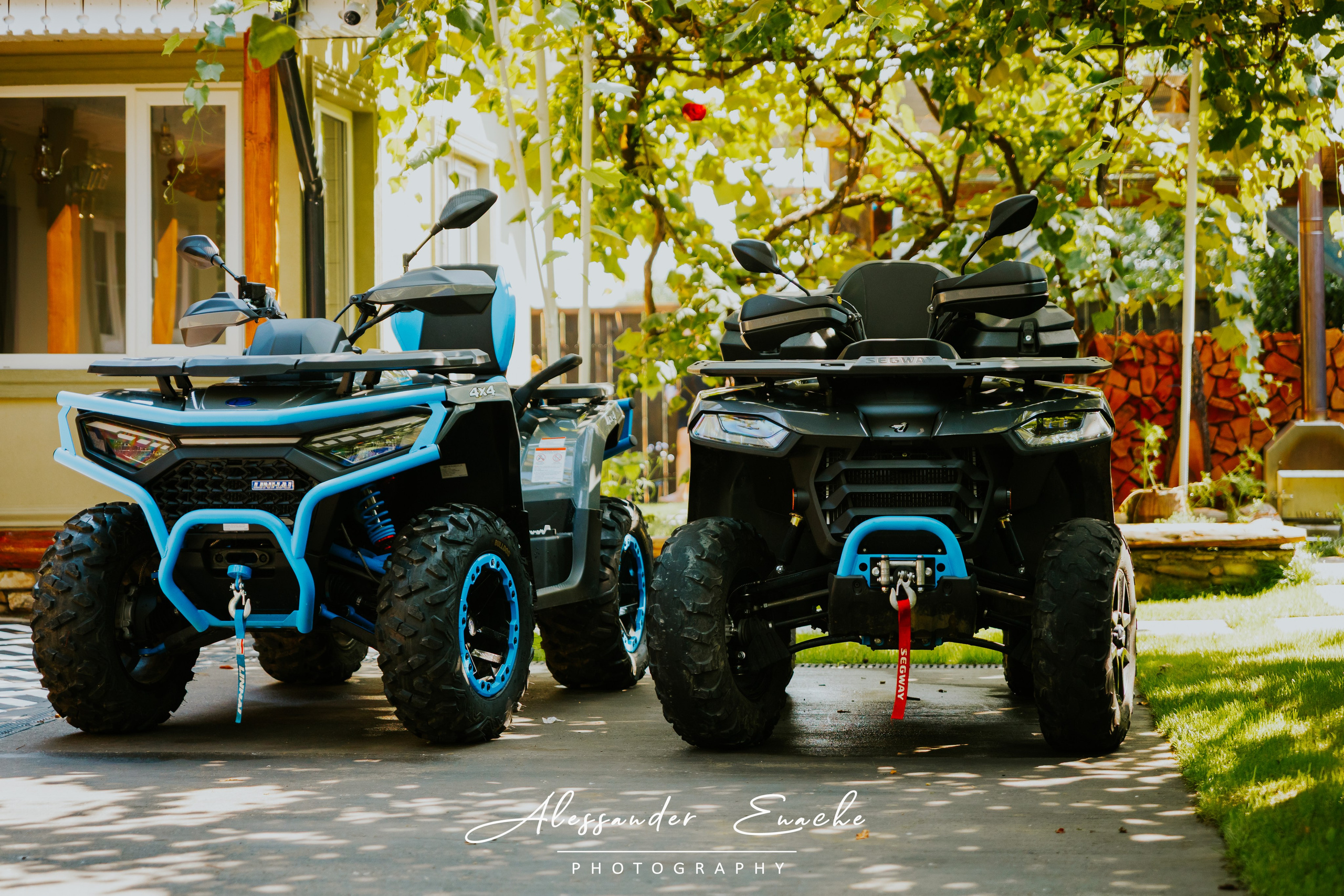 BĂRLOGUL URȘILOR. Fotograf prin #Piatraneamt-Alessander Enache