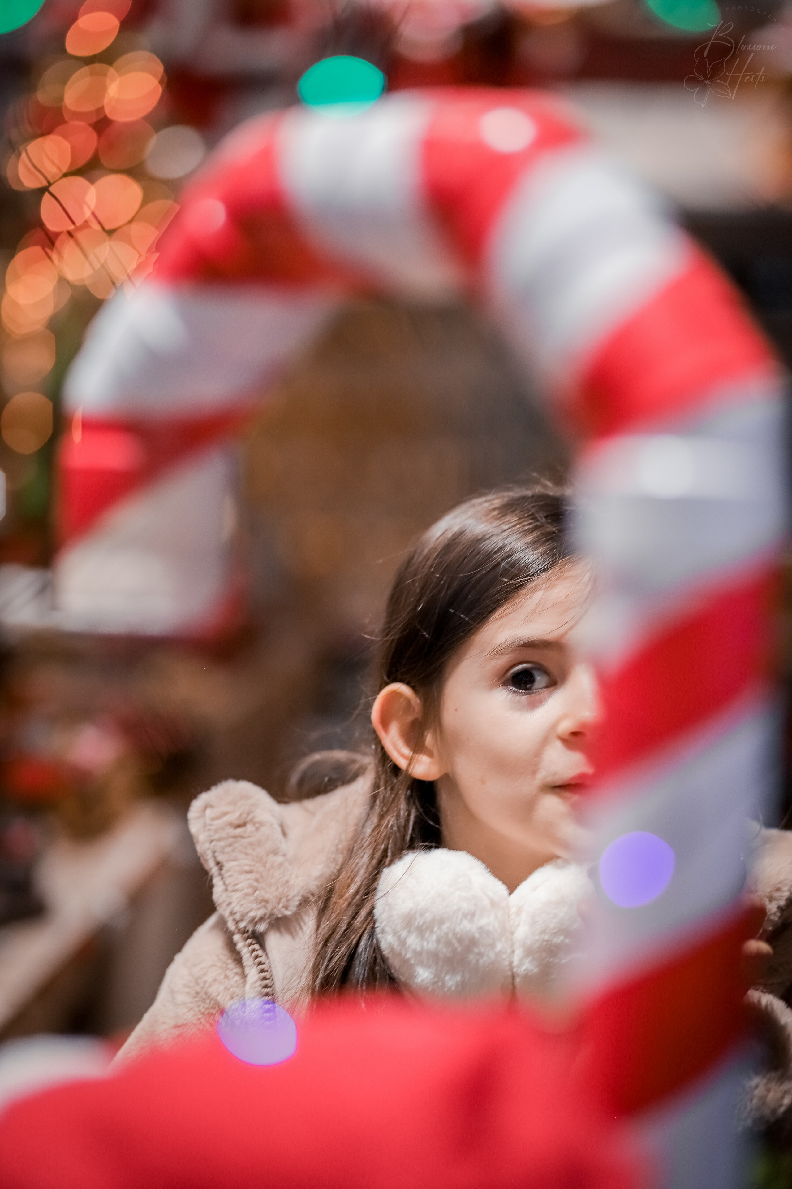 Christmas is coming. Family & children’s photographer in Herts & West London Iryna Blair