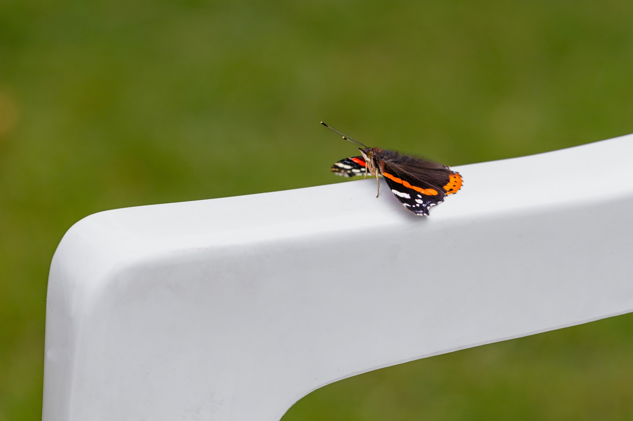 40th Birthday — Royal Windsor Racecourse. June, 2023. Timeless Wedding & Event Photography — based London, working across Europe