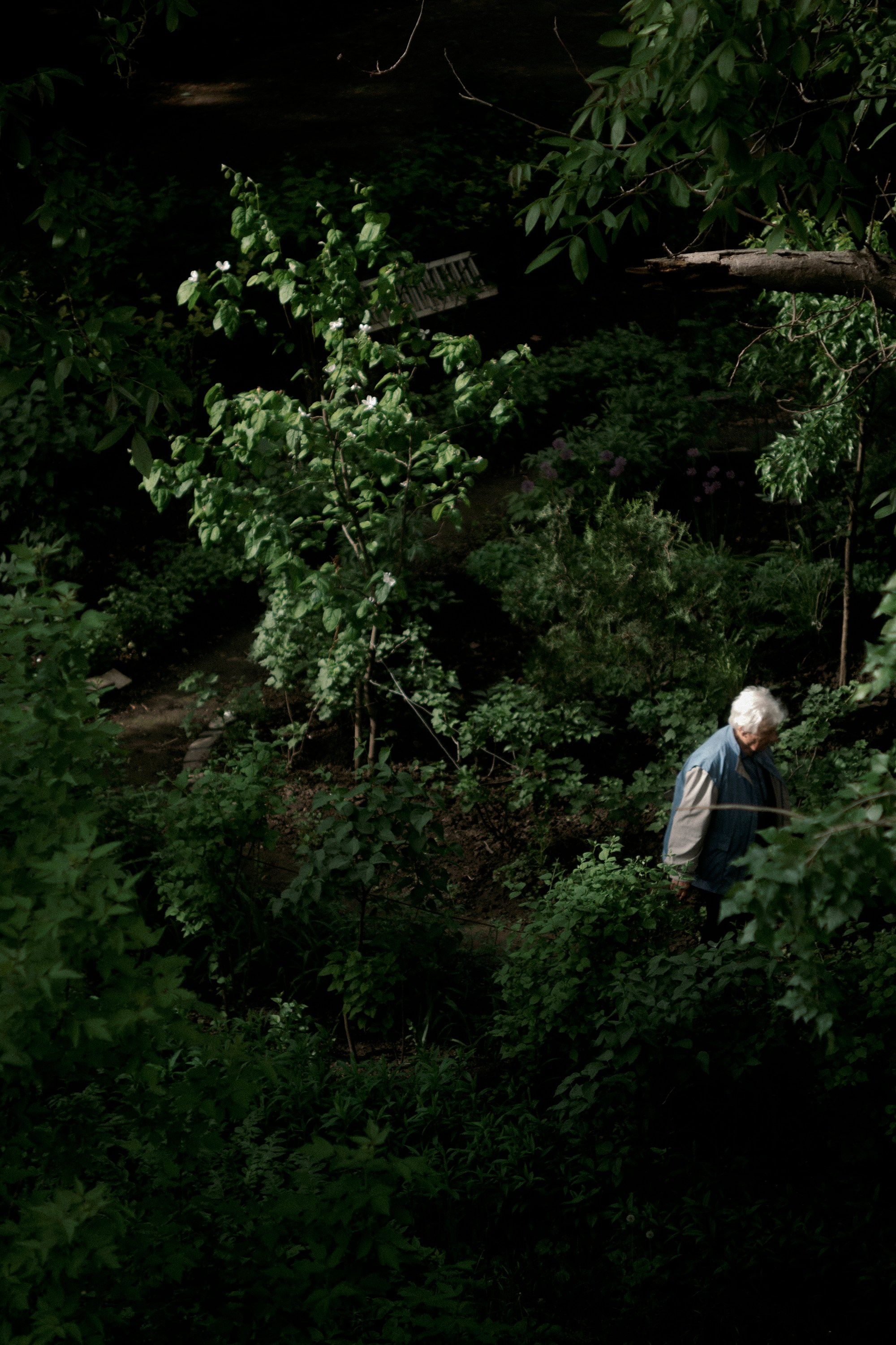 What mean Ukraine?. Ozwalt