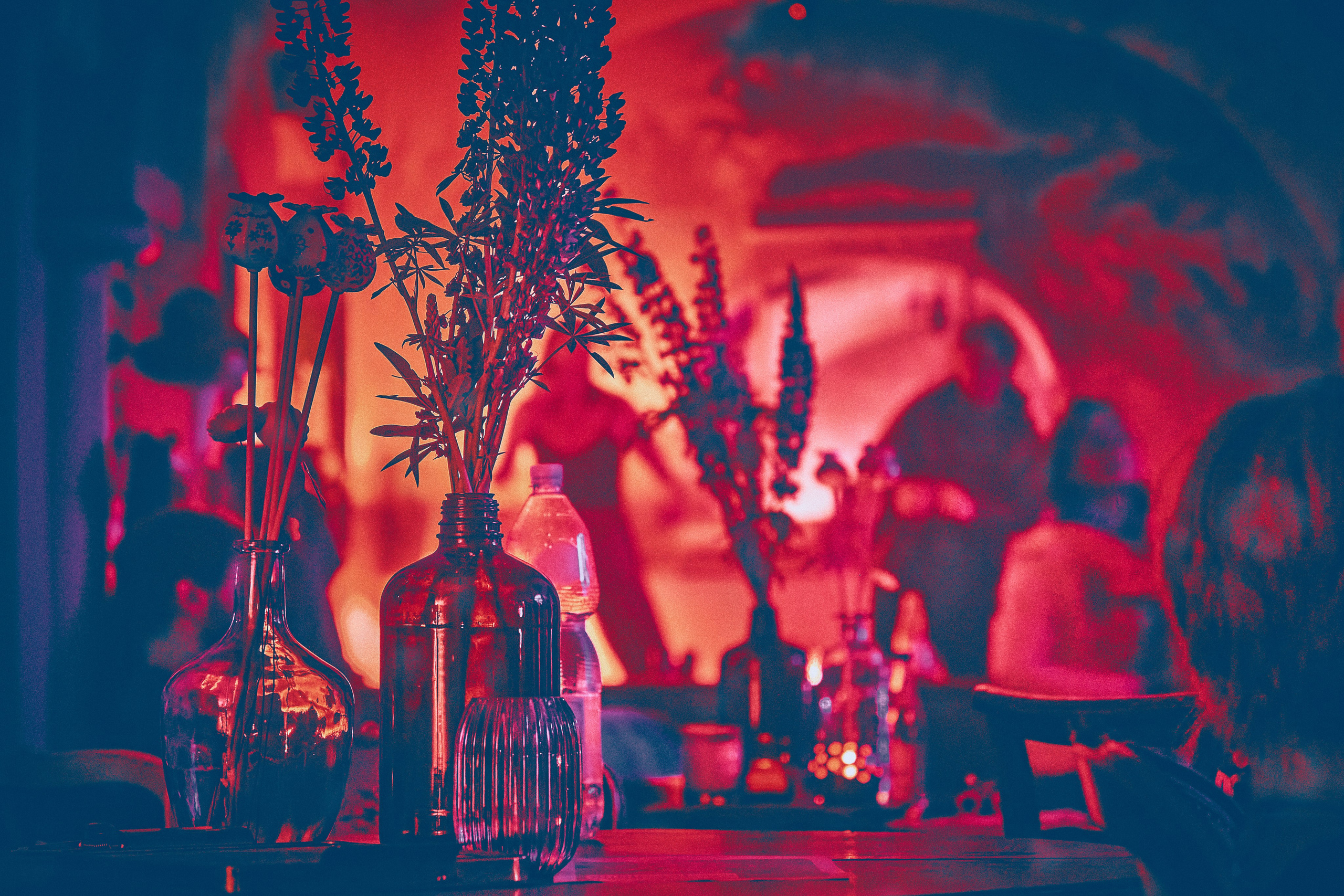 1st Birthday of Turquoise Island (Turkusowa Wyspa). Andriej Szypilow — Photography & Videography