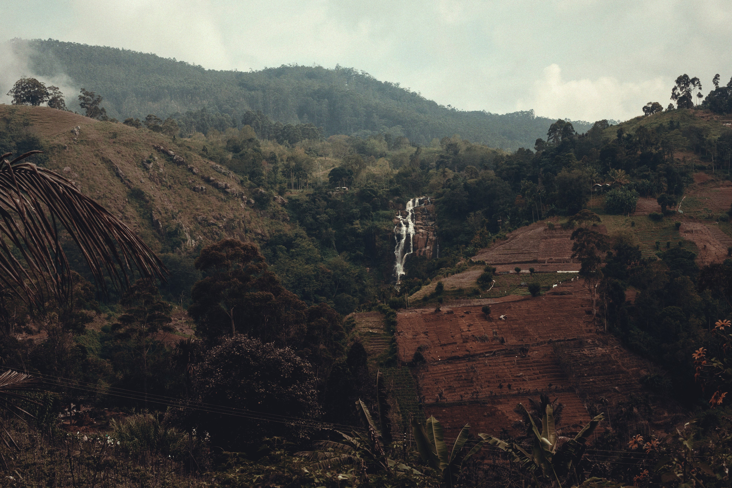 Ыы. Фотограф Андрей Друк